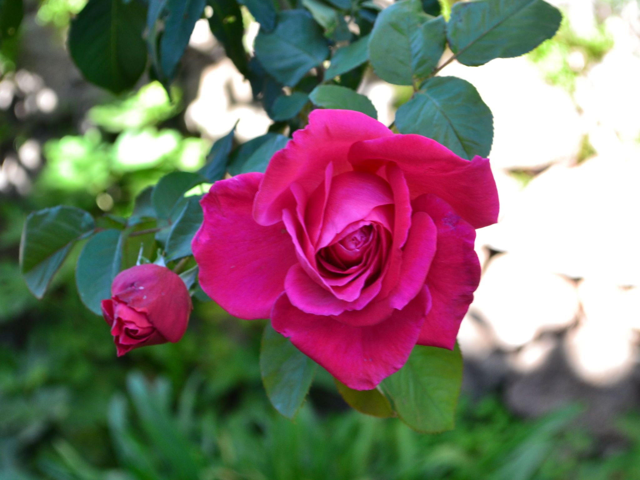 Luxuriöse Privatvilla mit Infinity-Pool-Drinnen