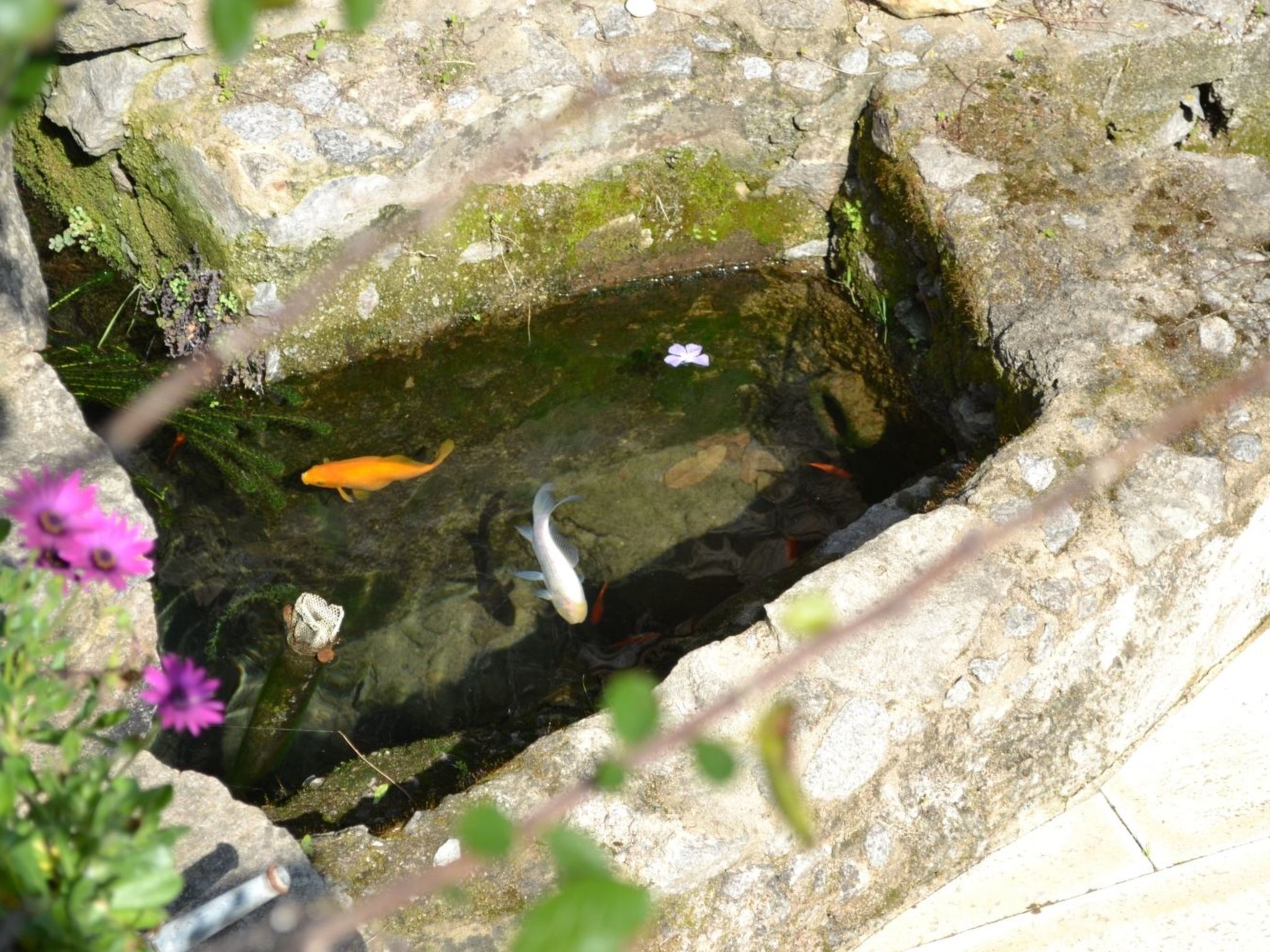 Luxuriöse Privatvilla mit Infinity-Pool-Drinnen