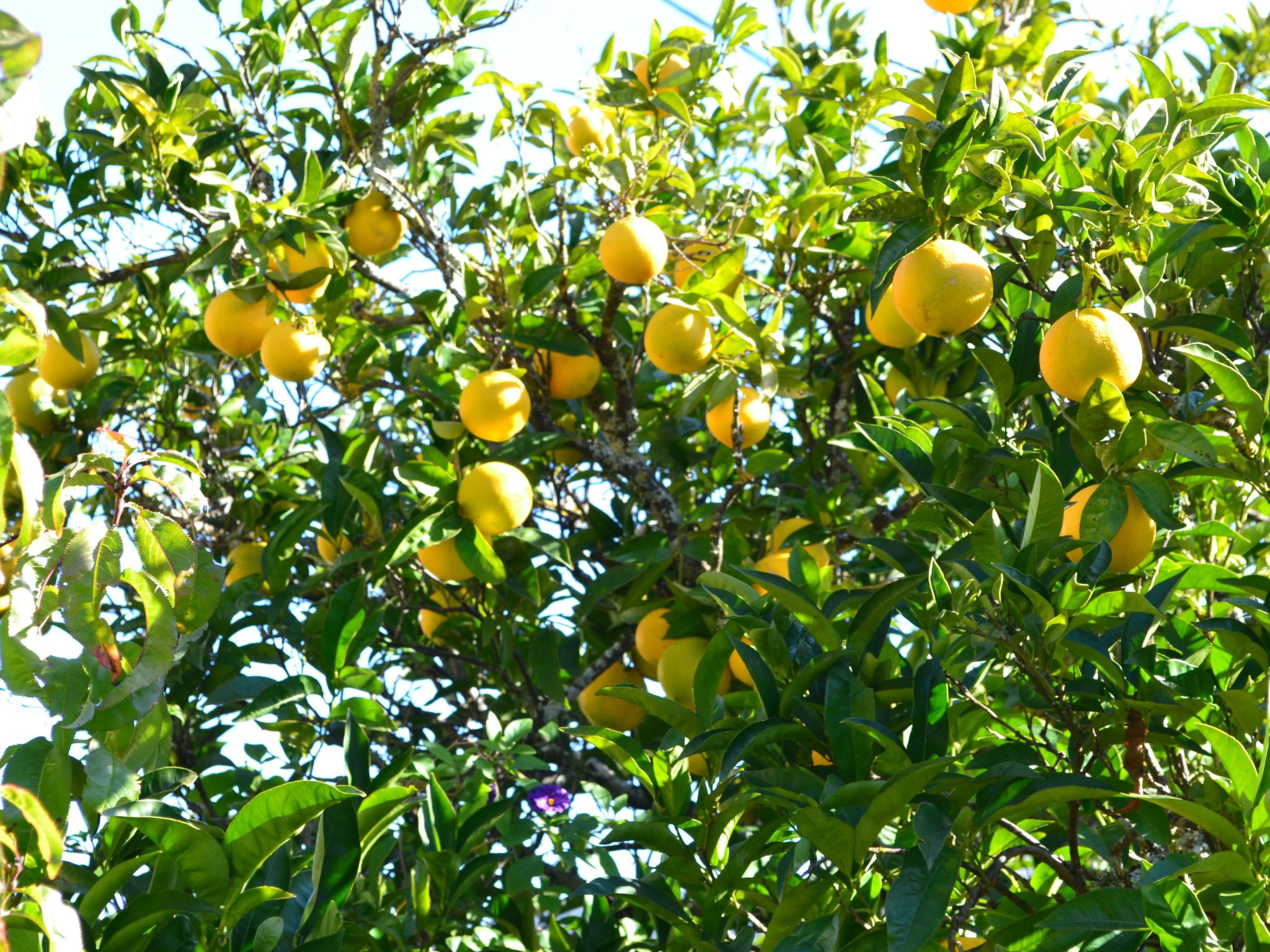 Luxuriöse Privatvilla mit Infinity-Pool-Drinnen