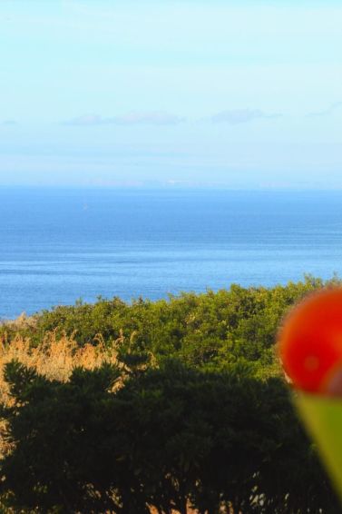 Wohnung Mit Blick Auf Das Wasser - Silves