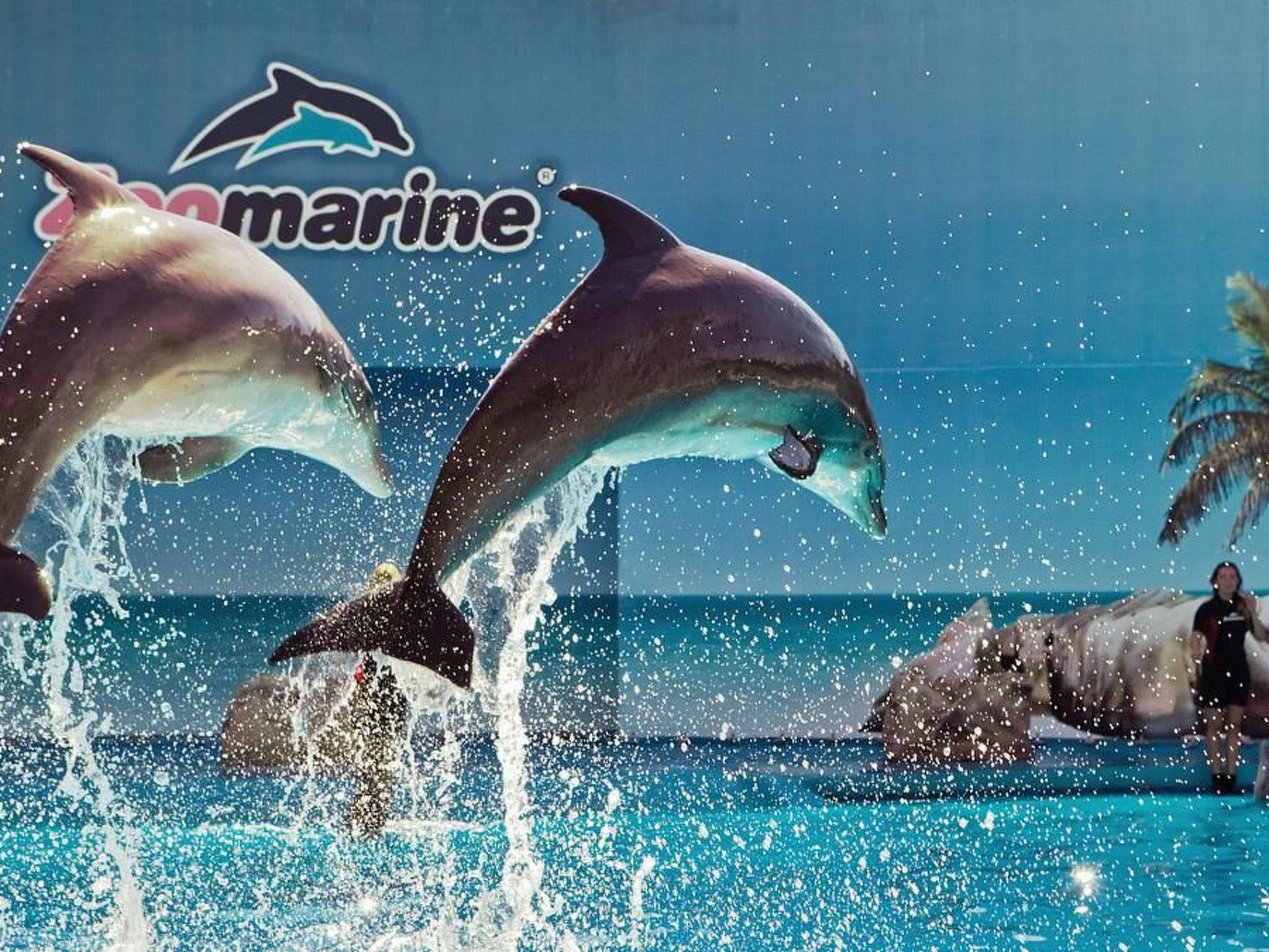 Photo of Wunderschöne Wohnung mit Pool - "Maria"