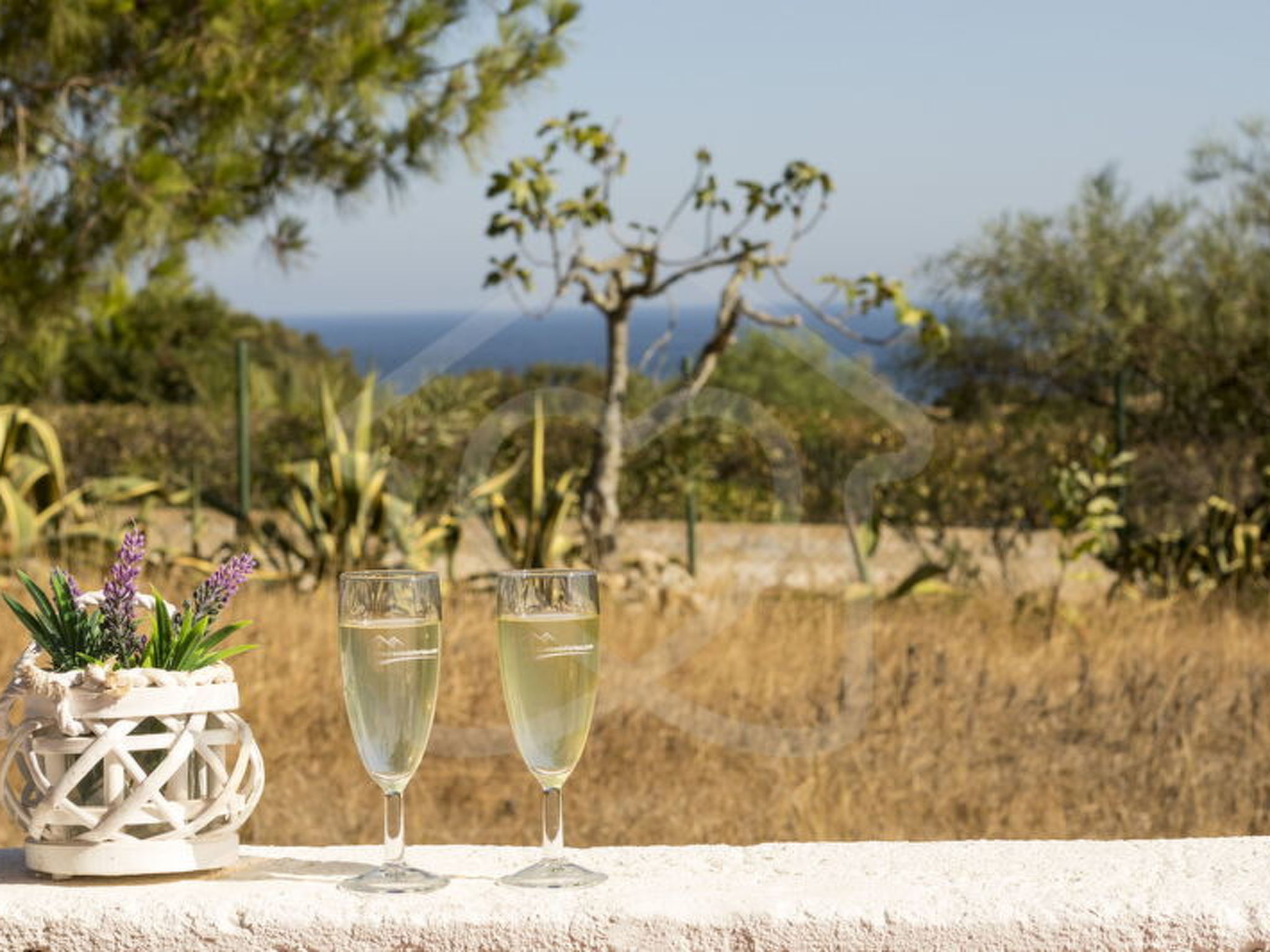 Photo of V3 Praia Da Marinha