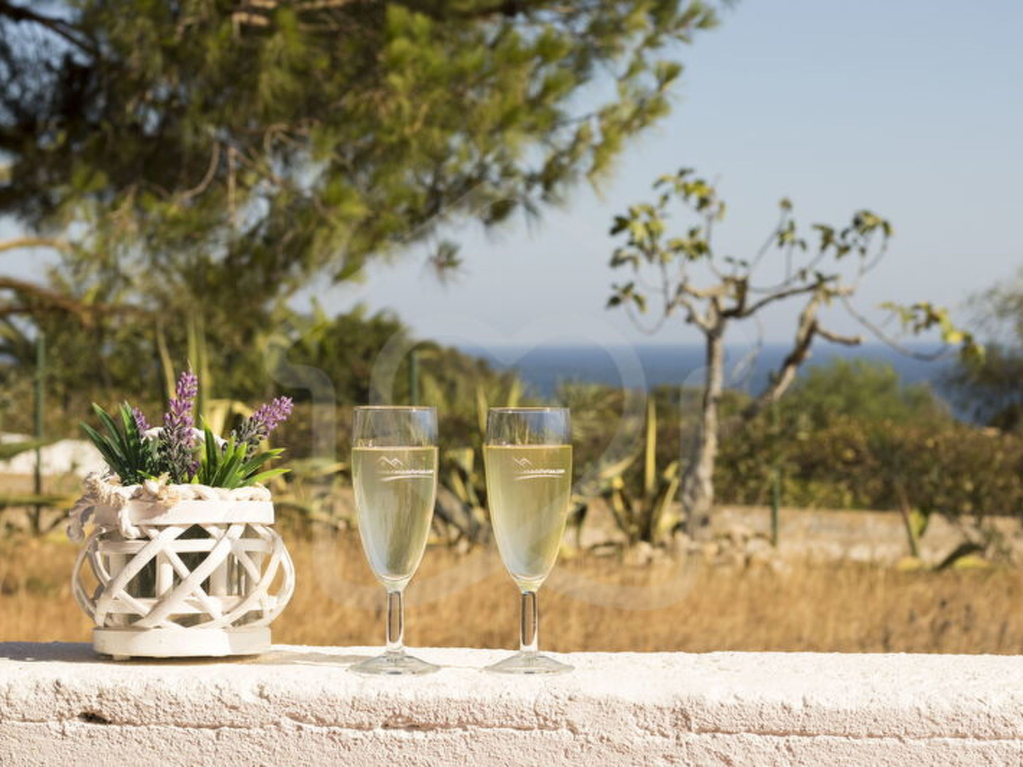 Photo of V3 Praia Da Marinha