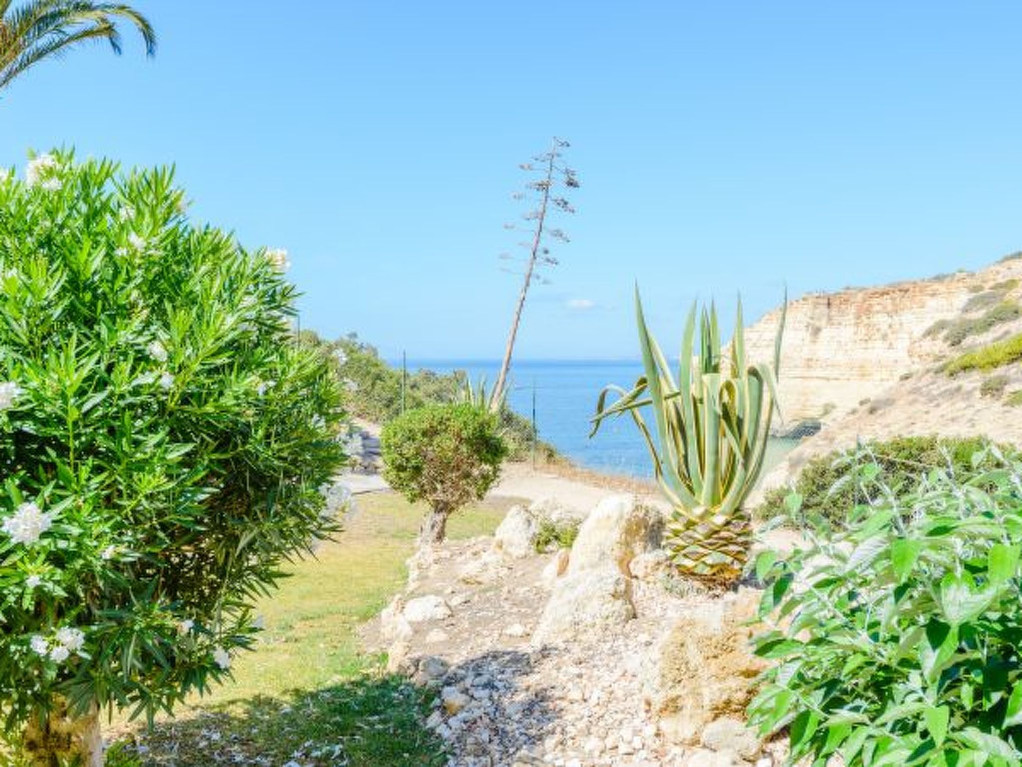 Photo of The Little Paradise with Sea Views