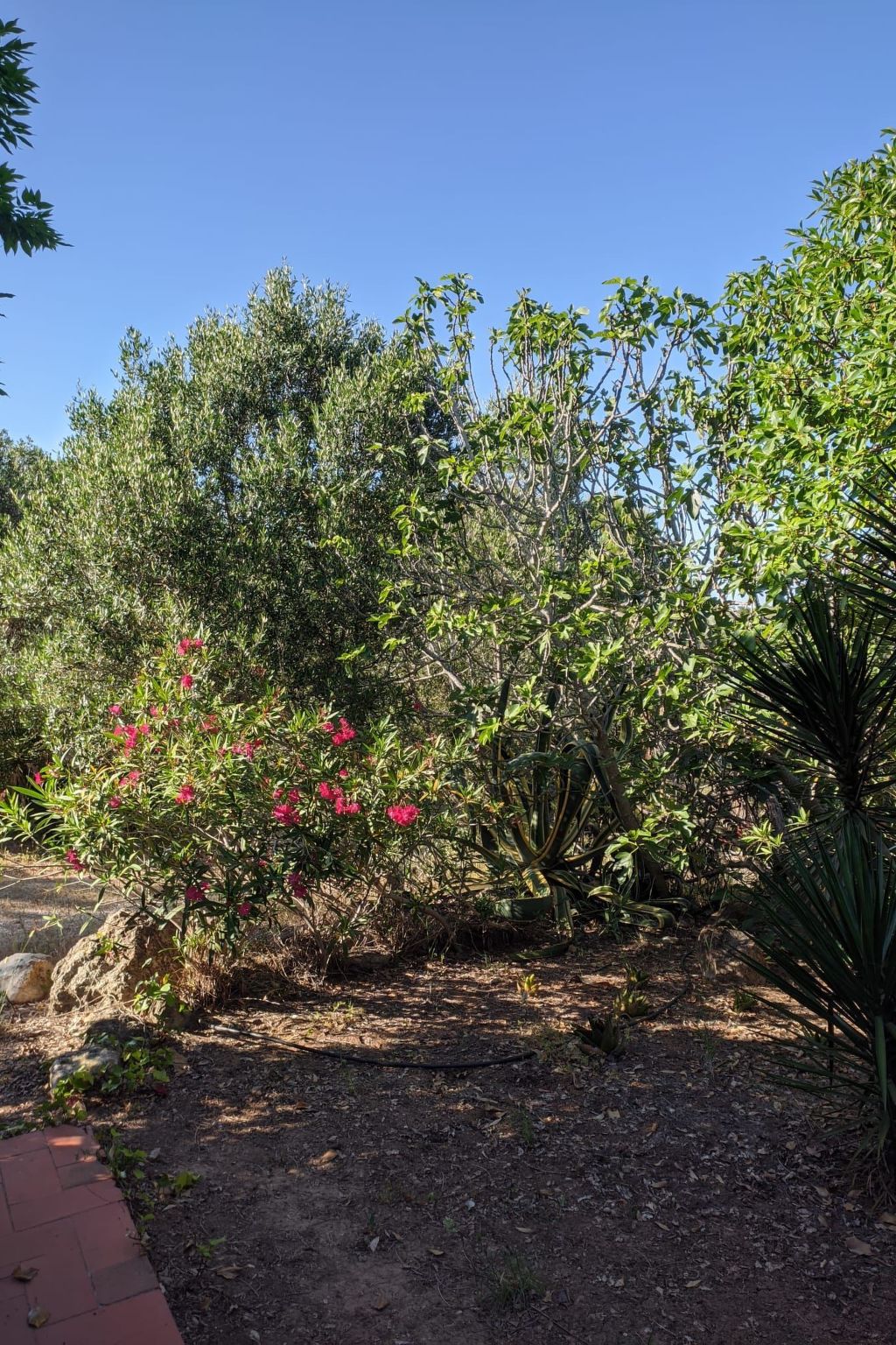 Mit Pool und 5 Schlafzimmern für 10 Personen.-Image-tags.info