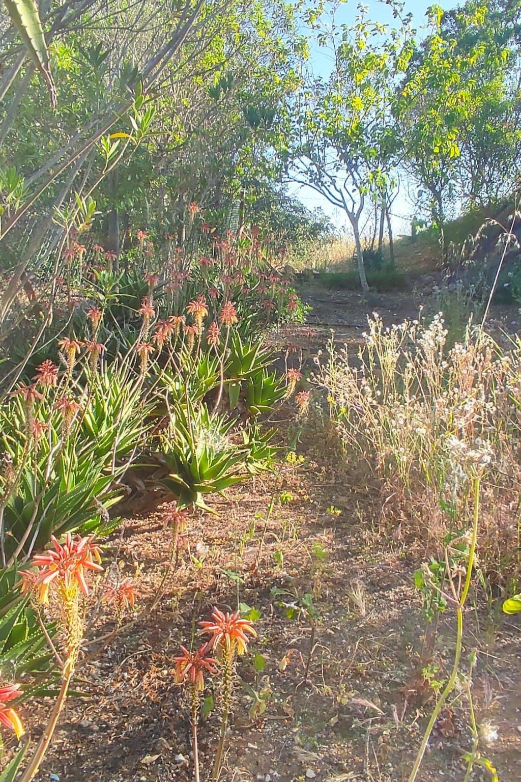 Photo of mit Pool und 5 Schlafzimmern für 10 Personen.