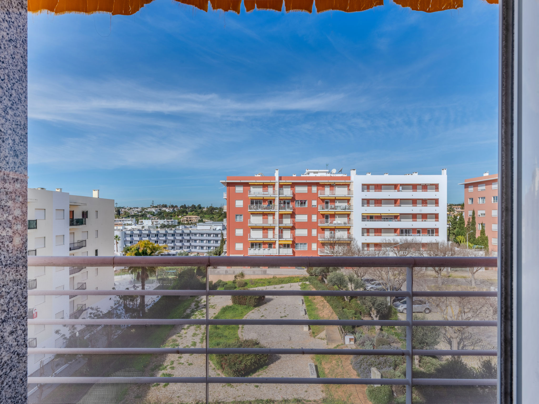 Photo of Summer Days