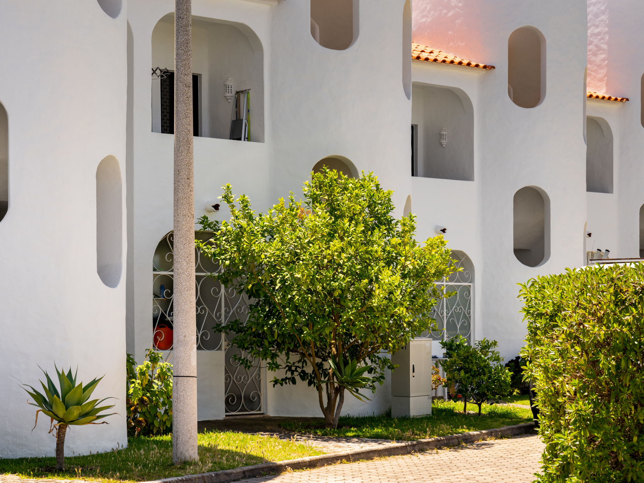 Photo of Quinta do Torrejão