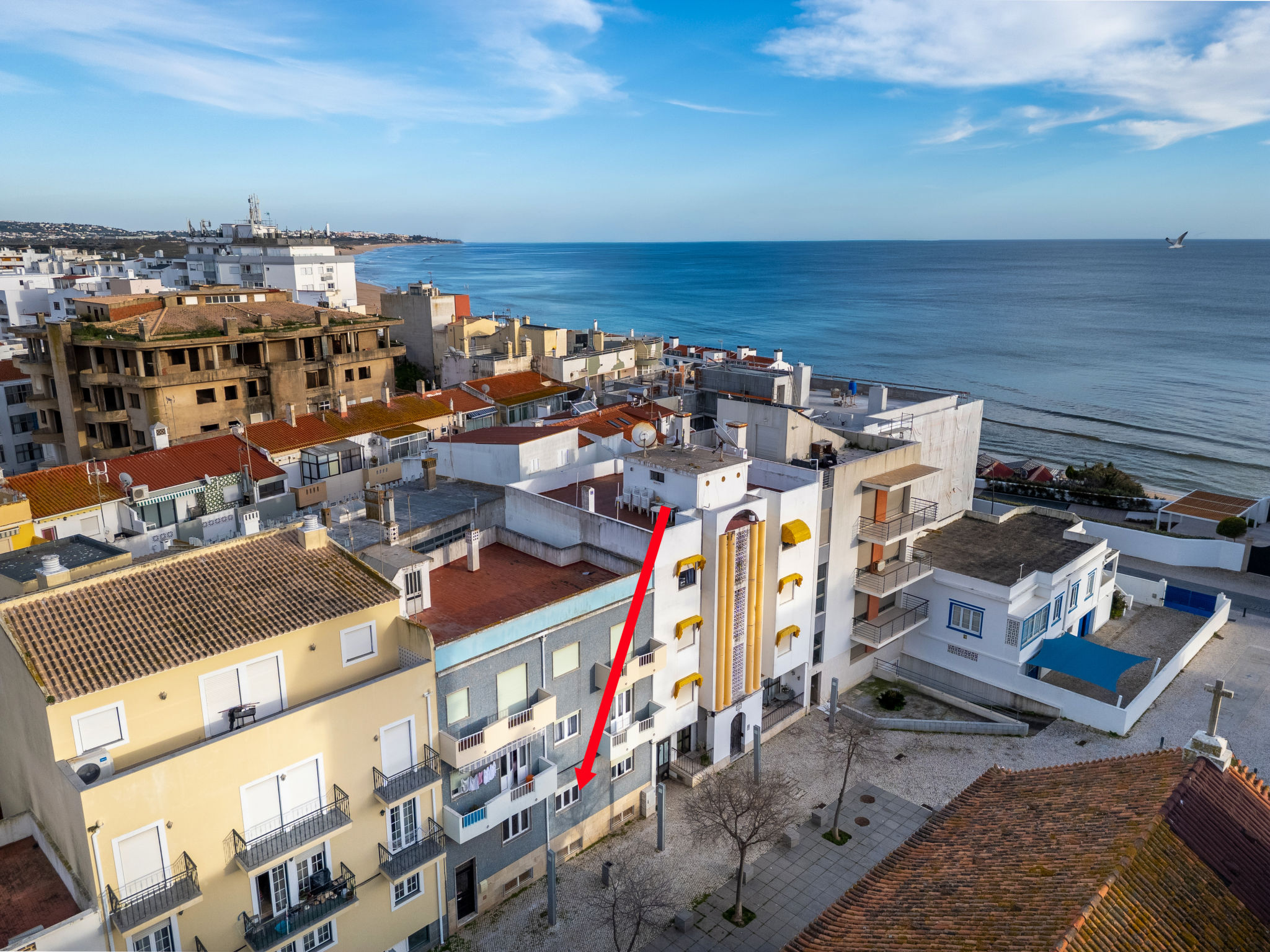 Photo of Ninho do Mar