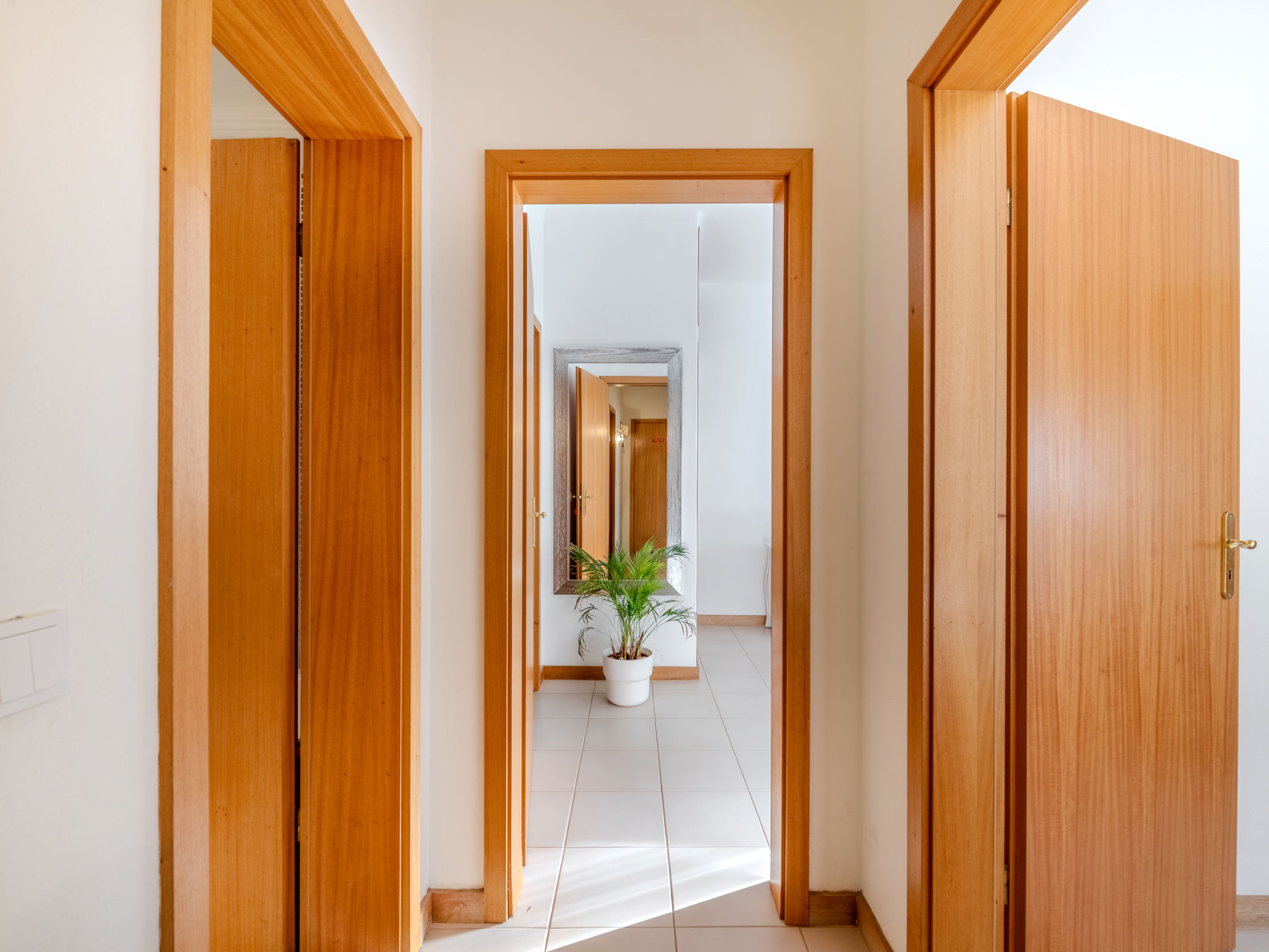 Photo of Ninho do Mar