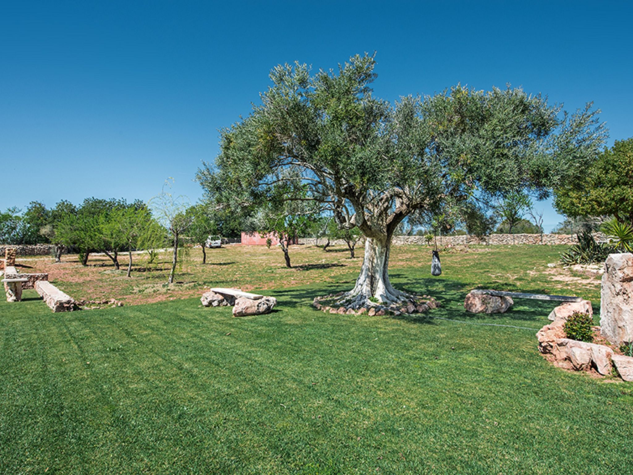 Photo of Quinta Valente