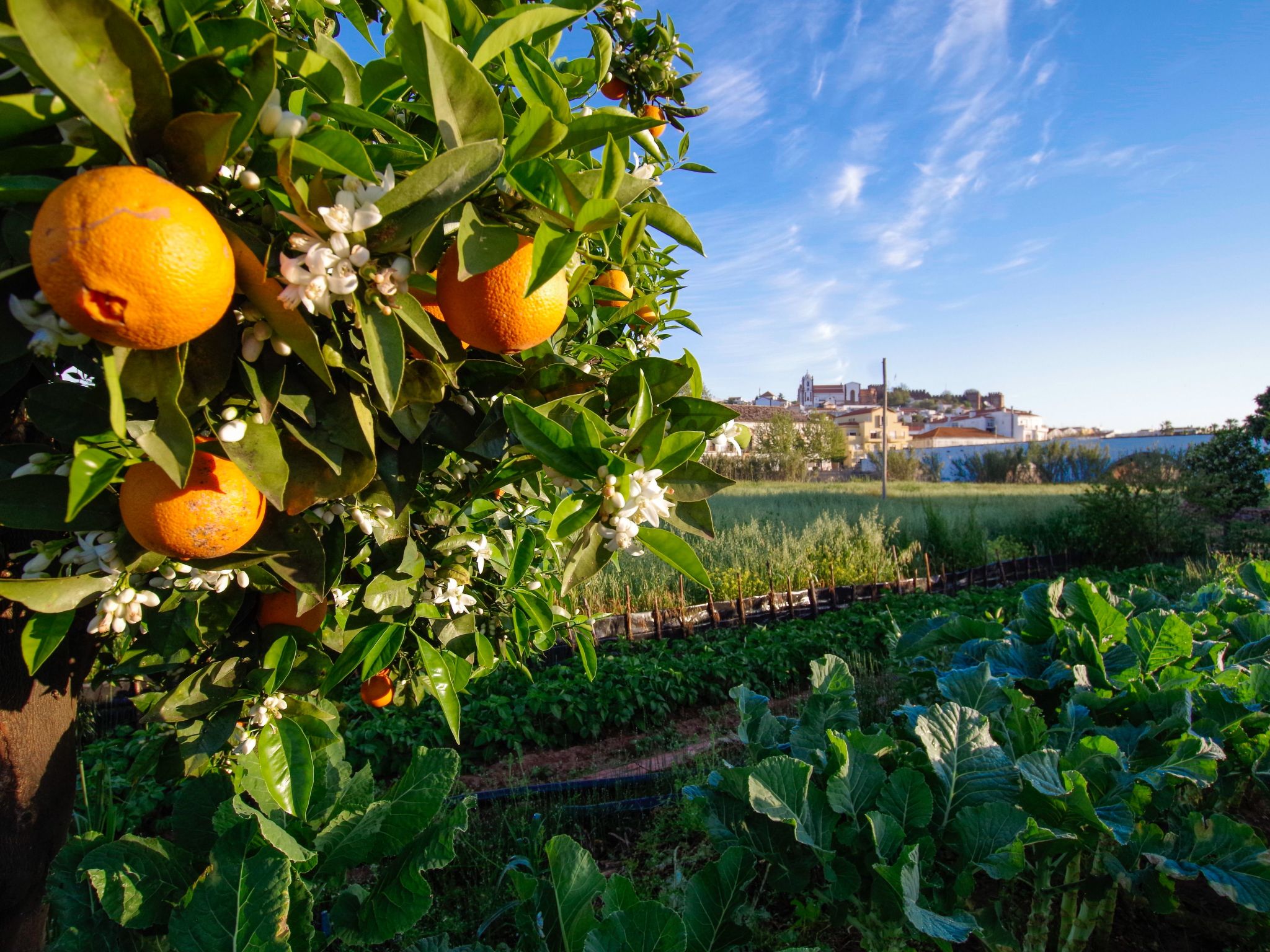 Photo of Casa Margarida Azul
