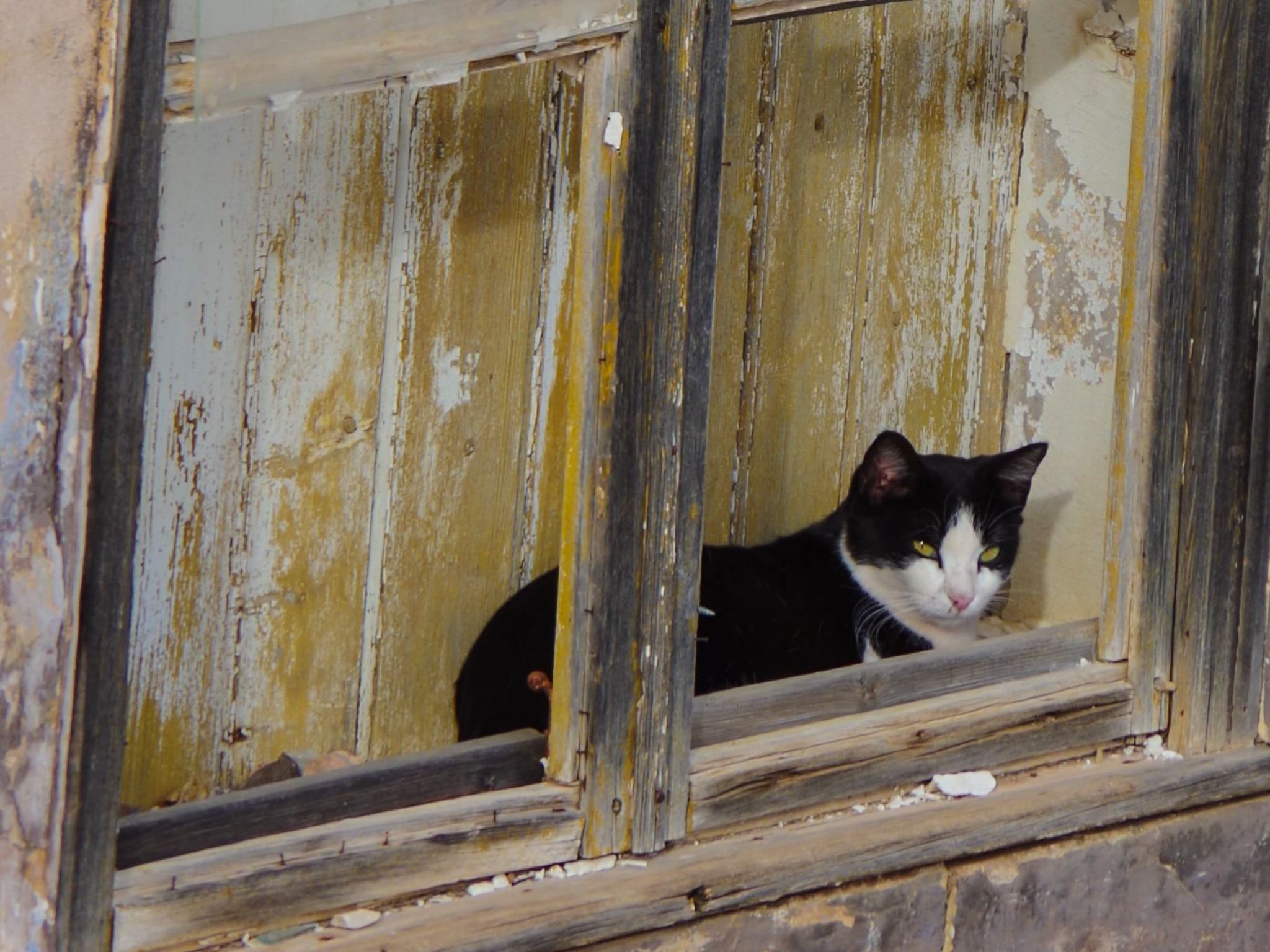 Photo of Casa Margarida Azul