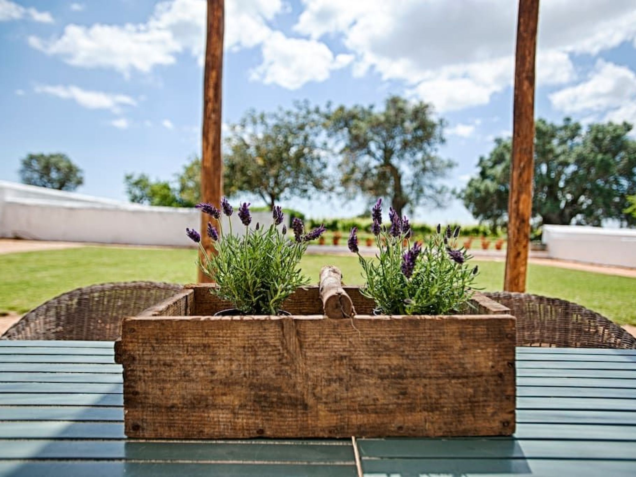 Ferienvilla mit Garten, Grill und Terrasse Accommodation in Silves