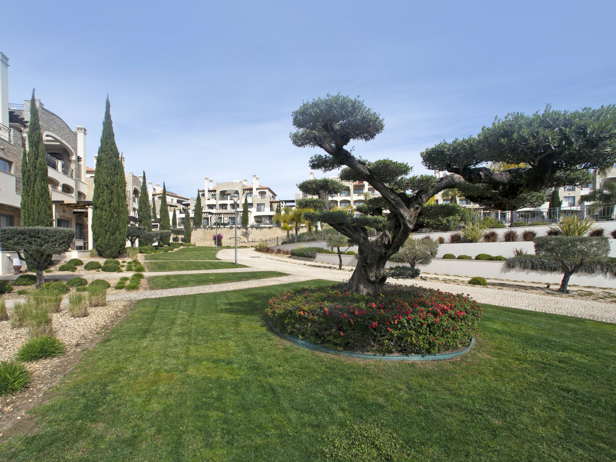 Photo of Pine Hills Jade