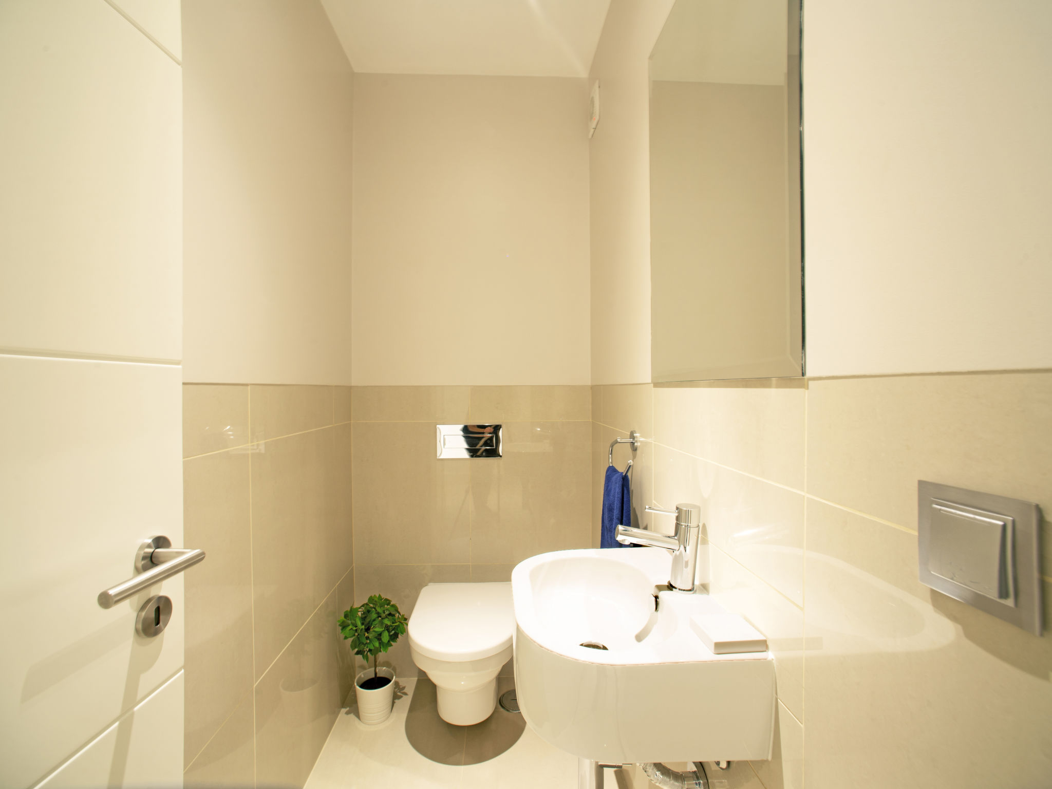 Photo of Pine Hills Rubi