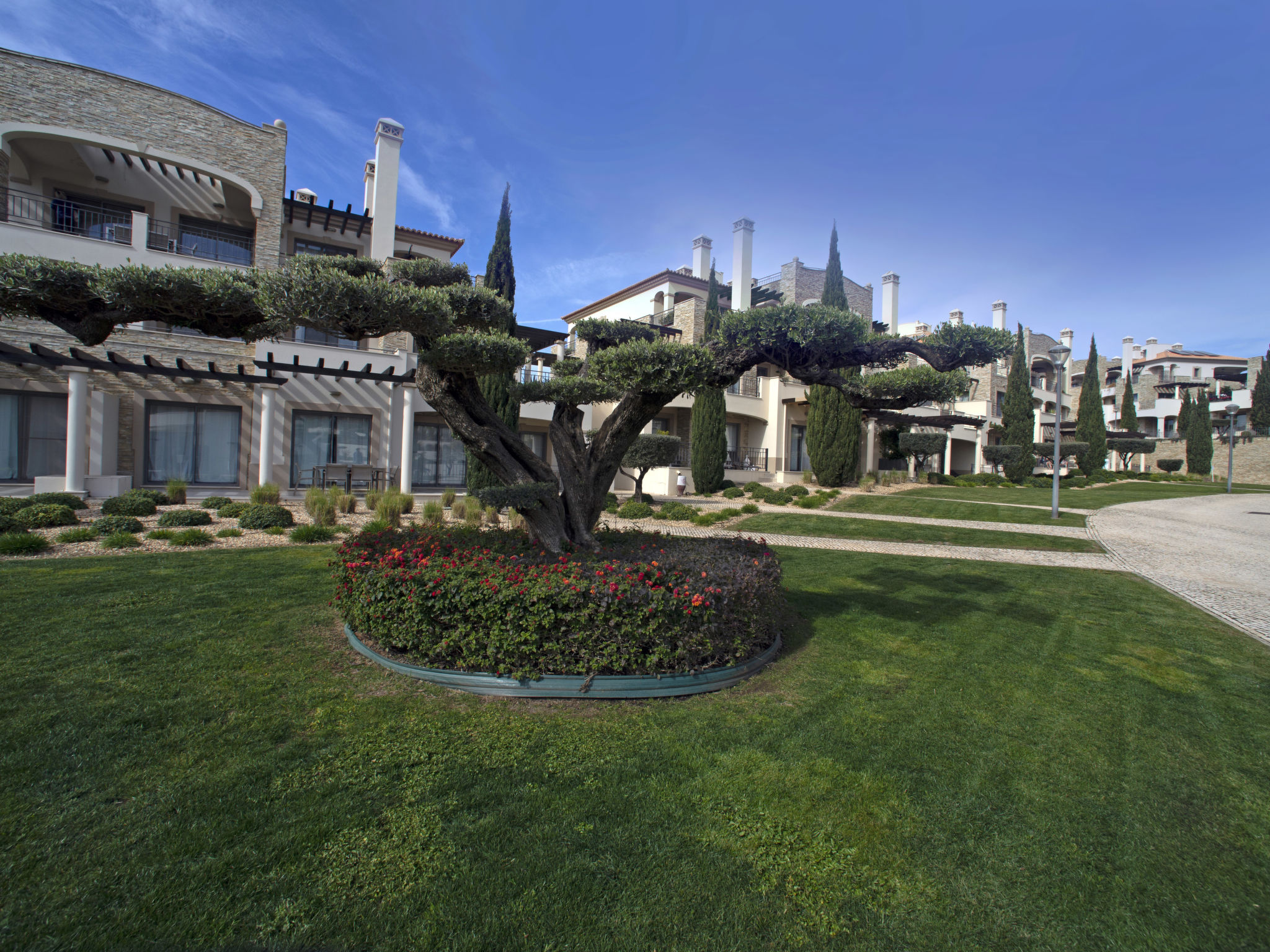 Pine Hills Turquesa-Draußen