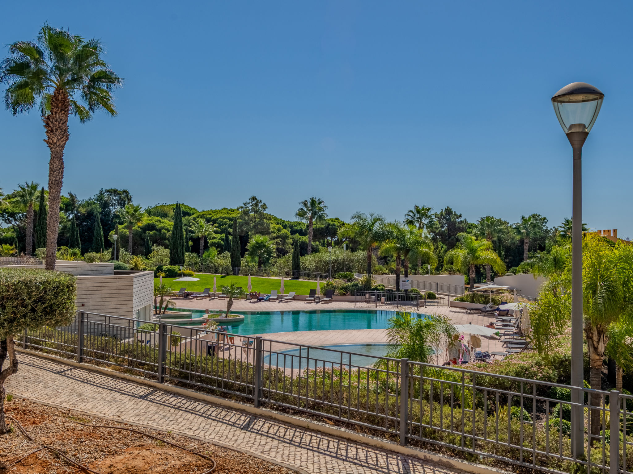 Pine Hills Ambar