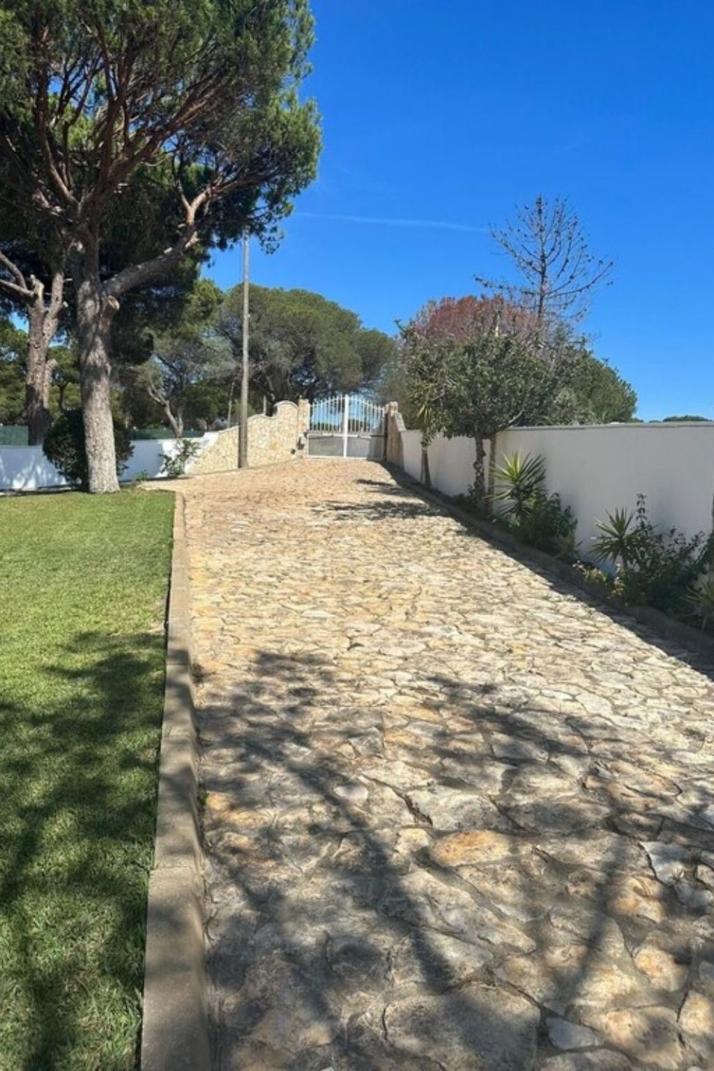 Photo of Casa Levira