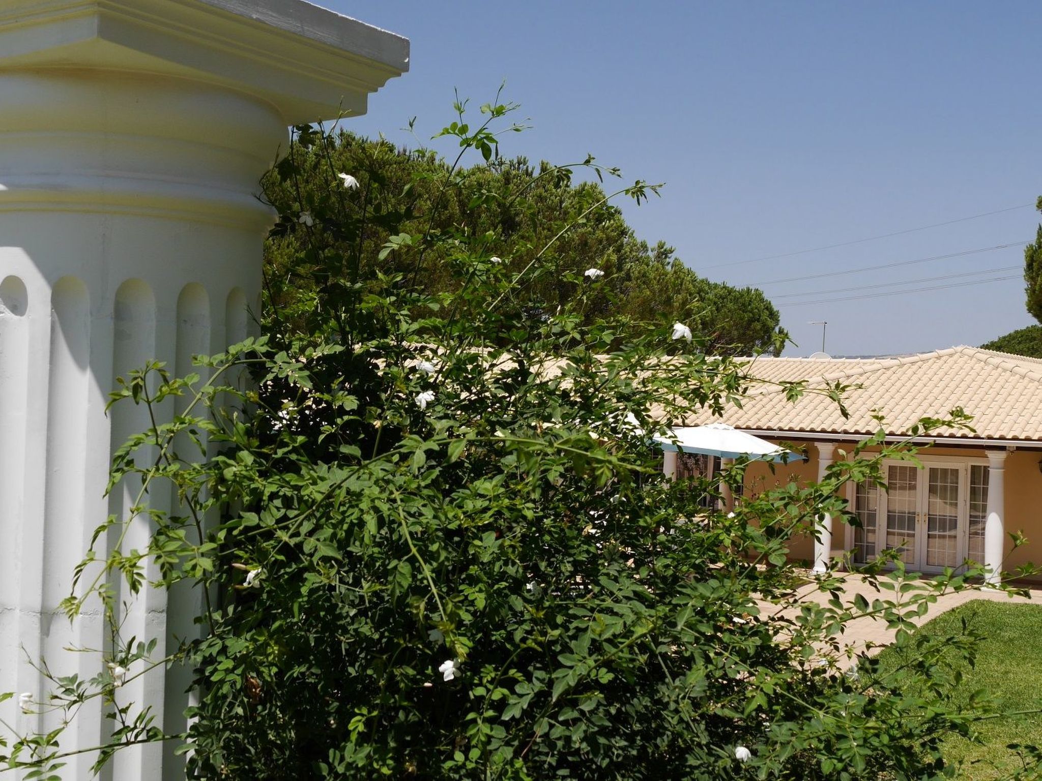 Photo of Villa Leonardo