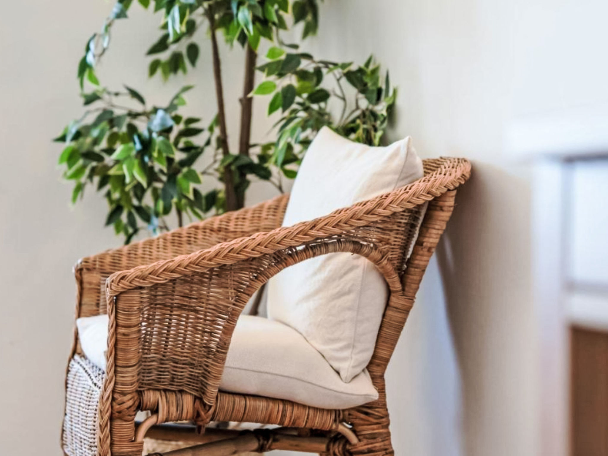 Photo of Studio 54 - Sunny Way