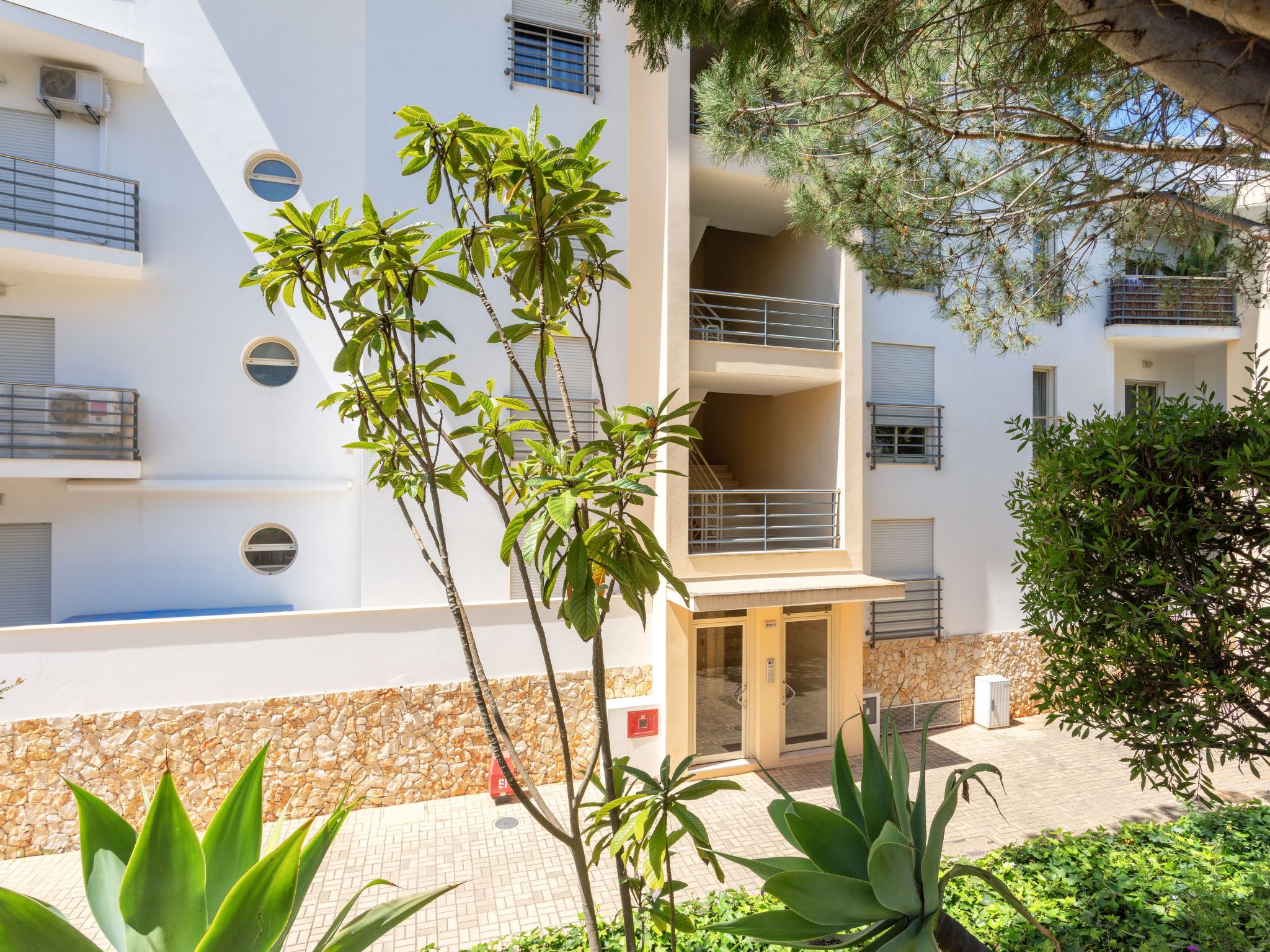 "Elena 2" mit Blick auf das Wasser-Image-tags.info