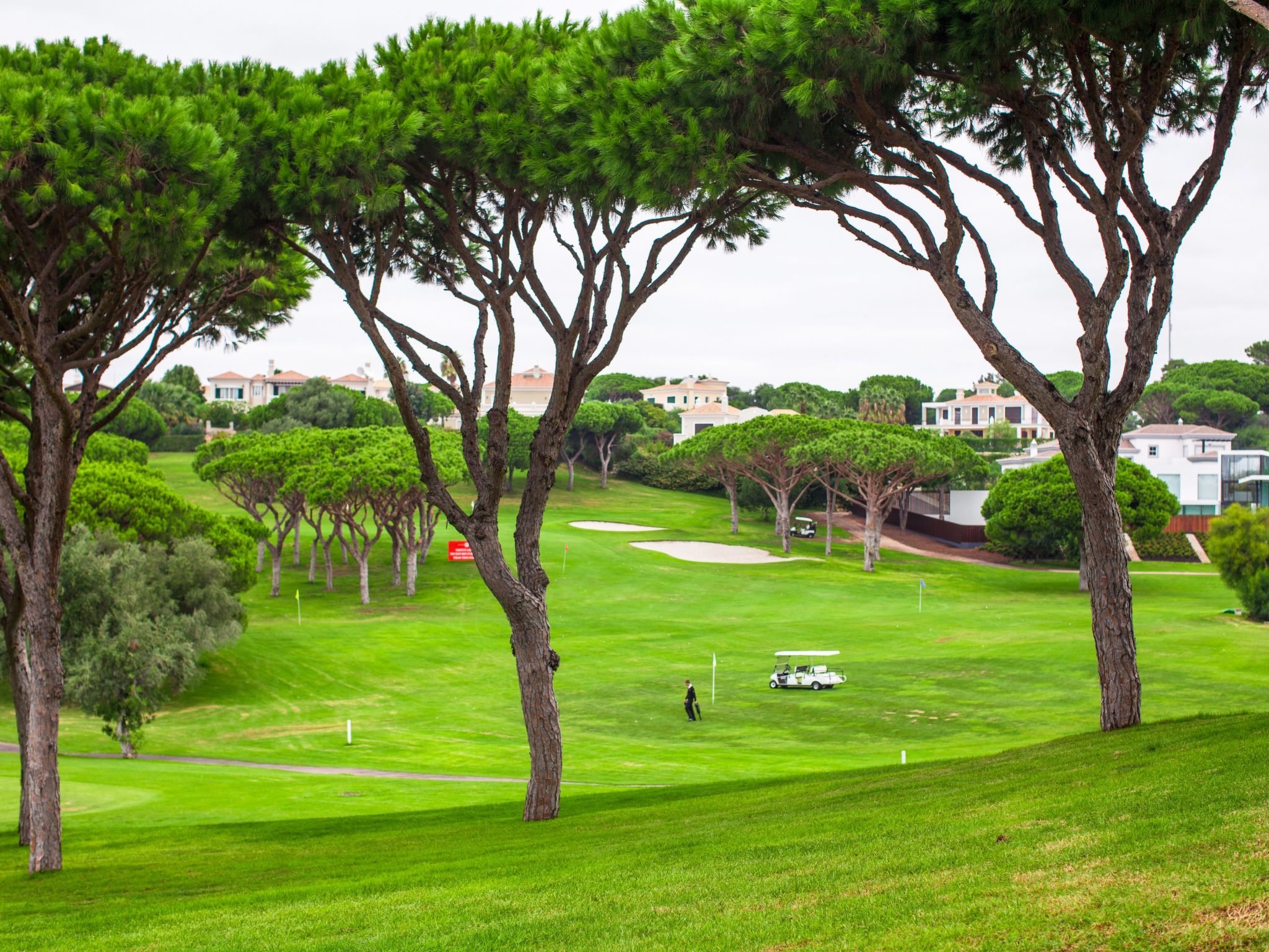 "Elena 2" mit Blick auf das Wasser-Image-tags.info