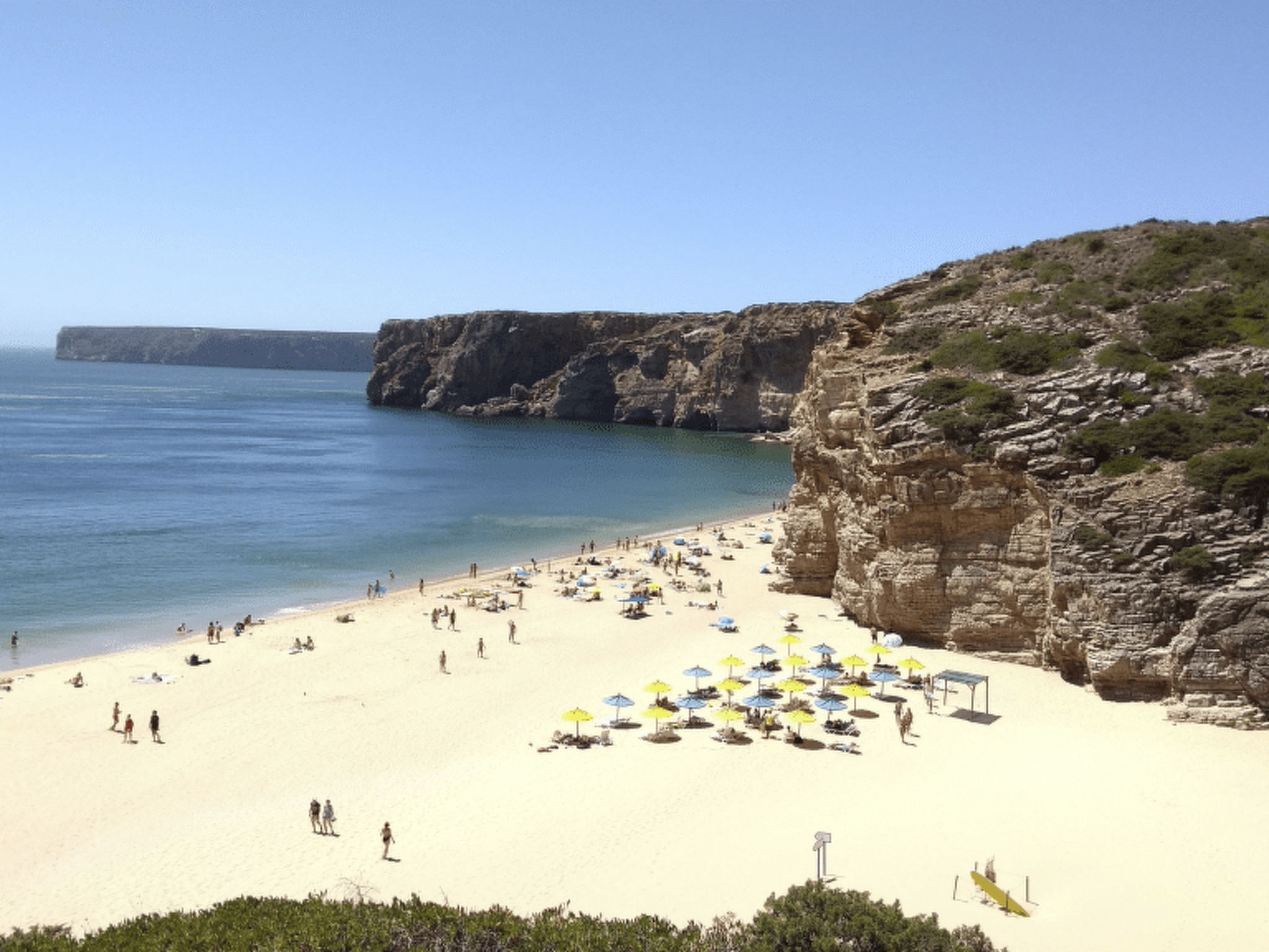 Ines-Image-tags.info