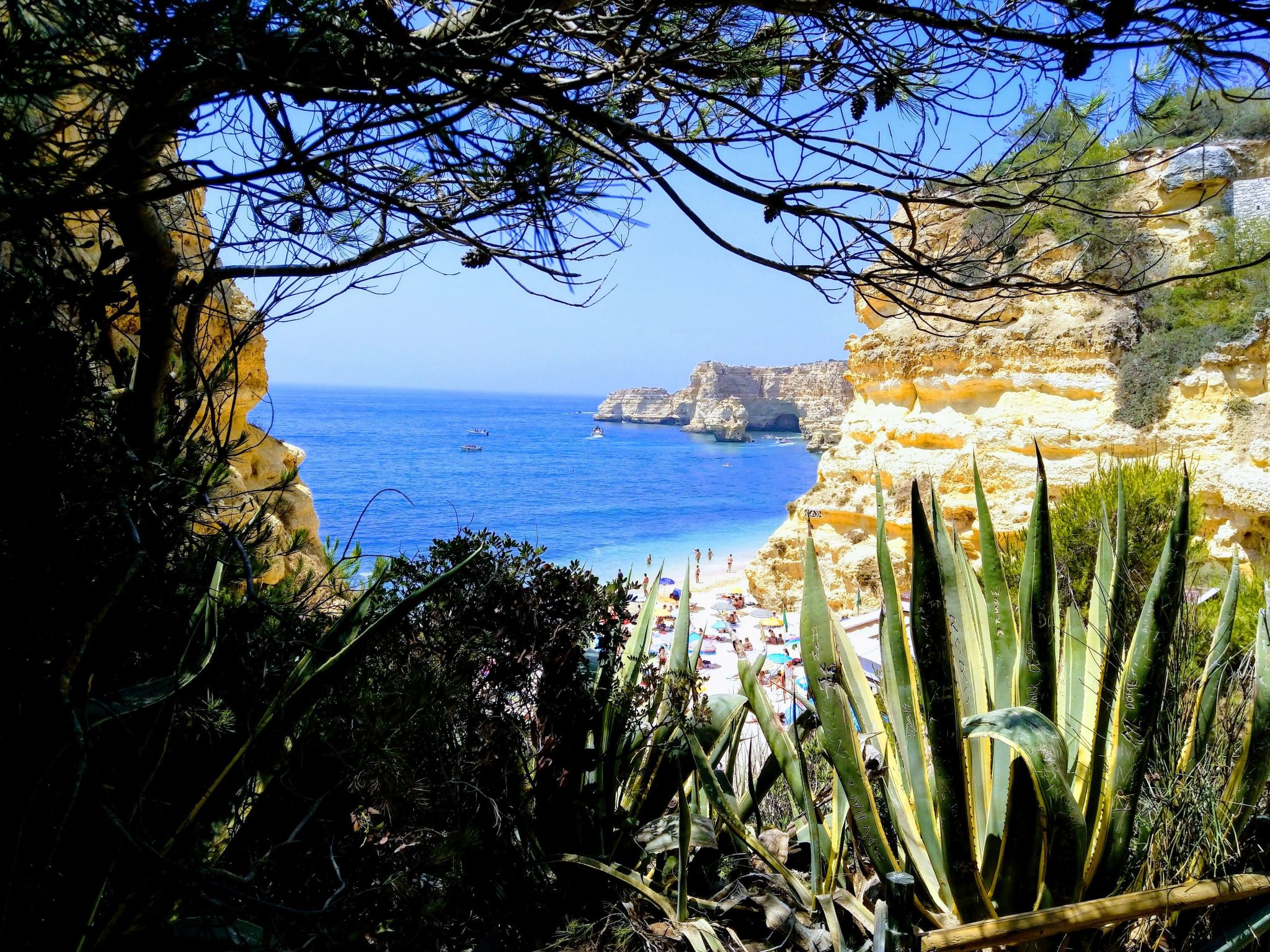 Marvell Design-Dehors