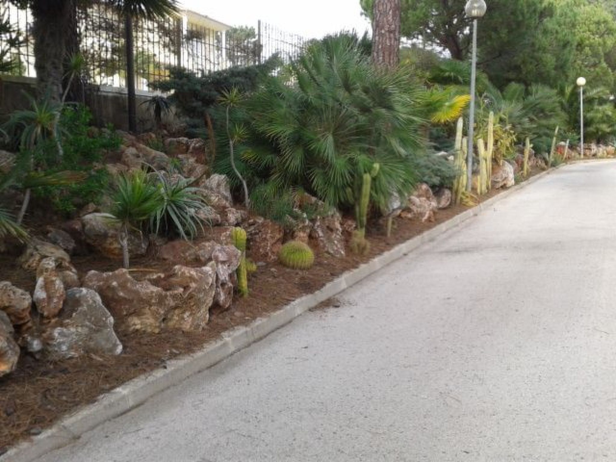 Pine Sun Park-Dehors