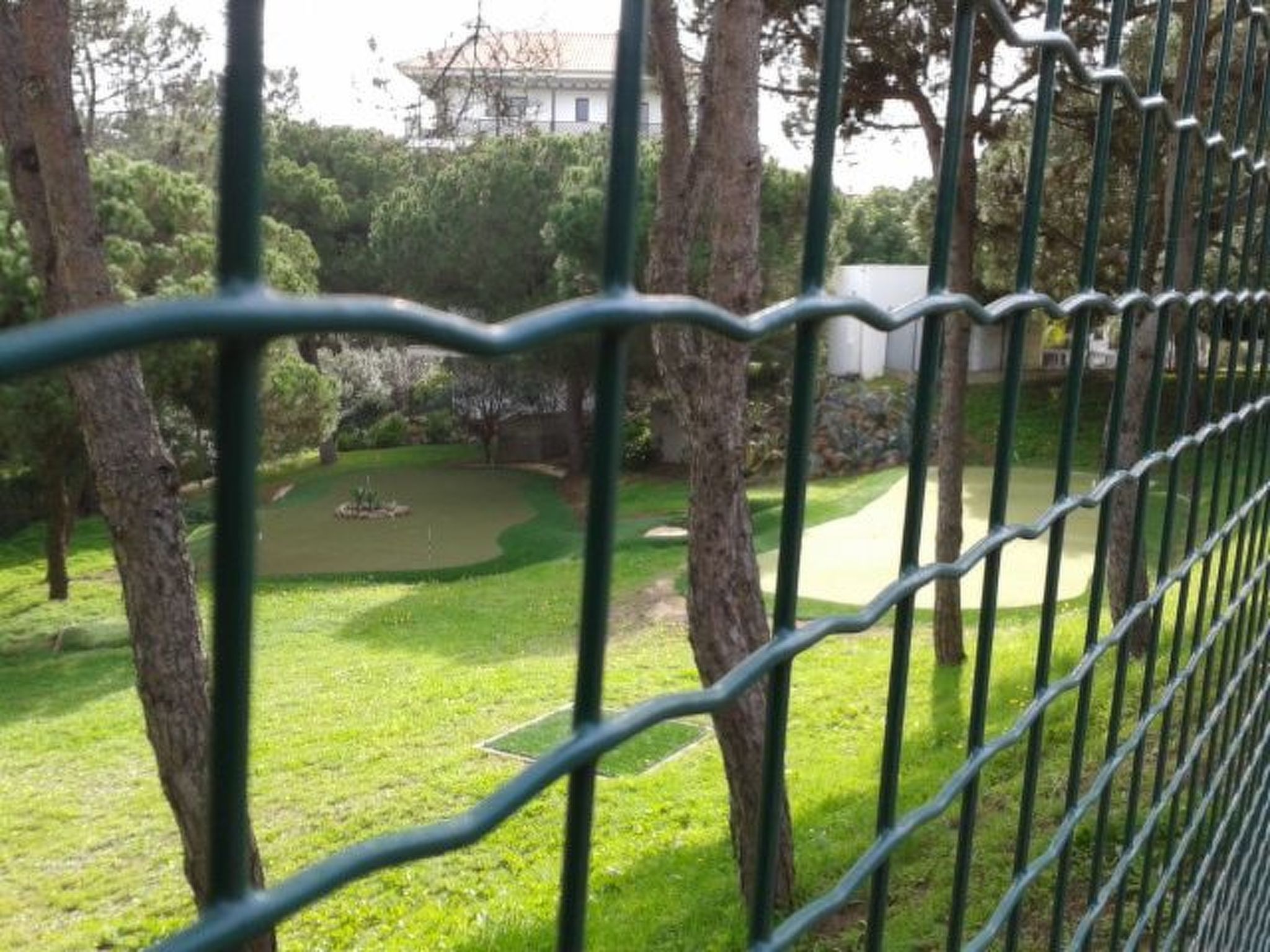 Pine Sun Park-Image-tags.info