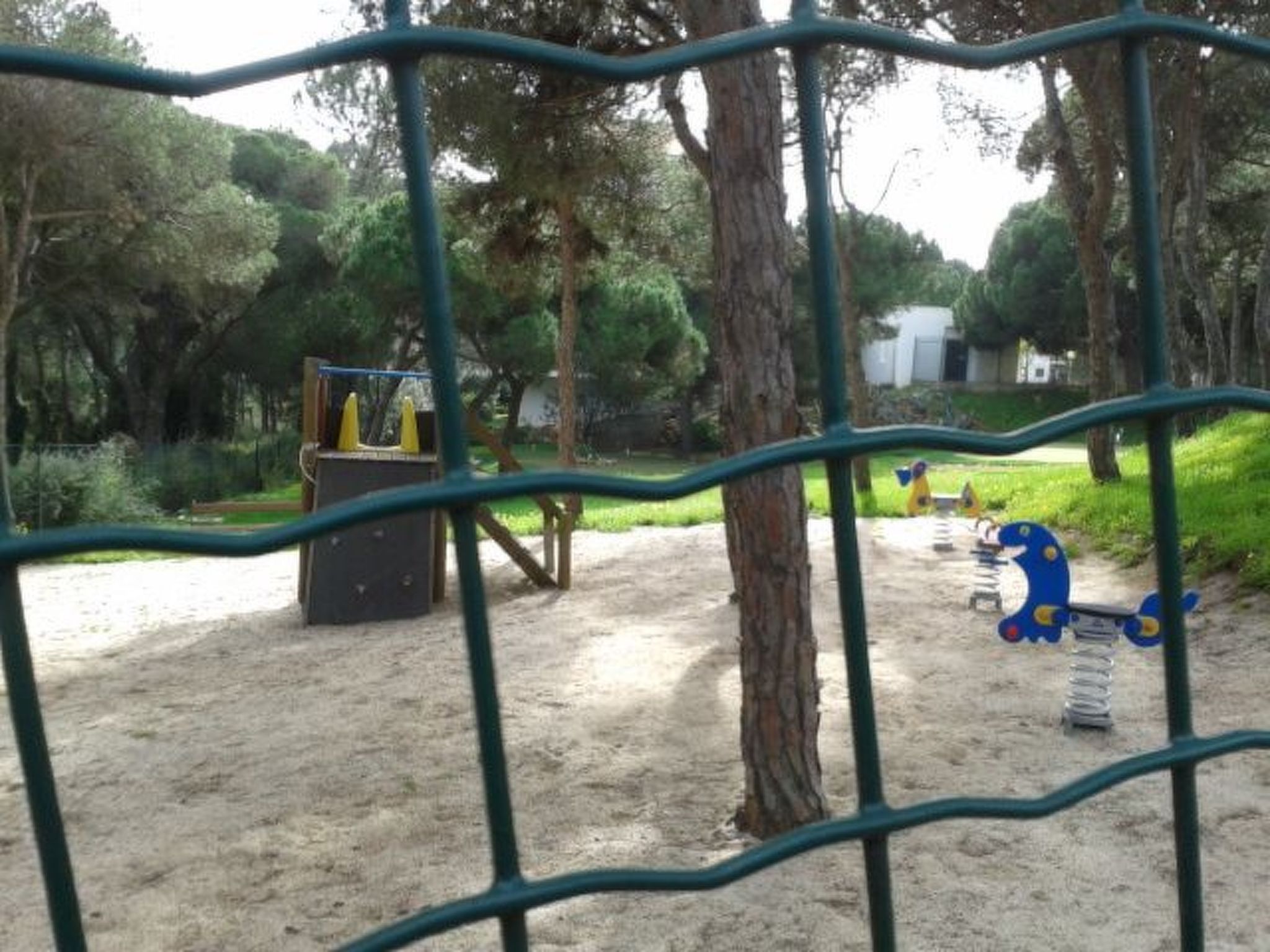 Pine Sun Park-Image-tags.info