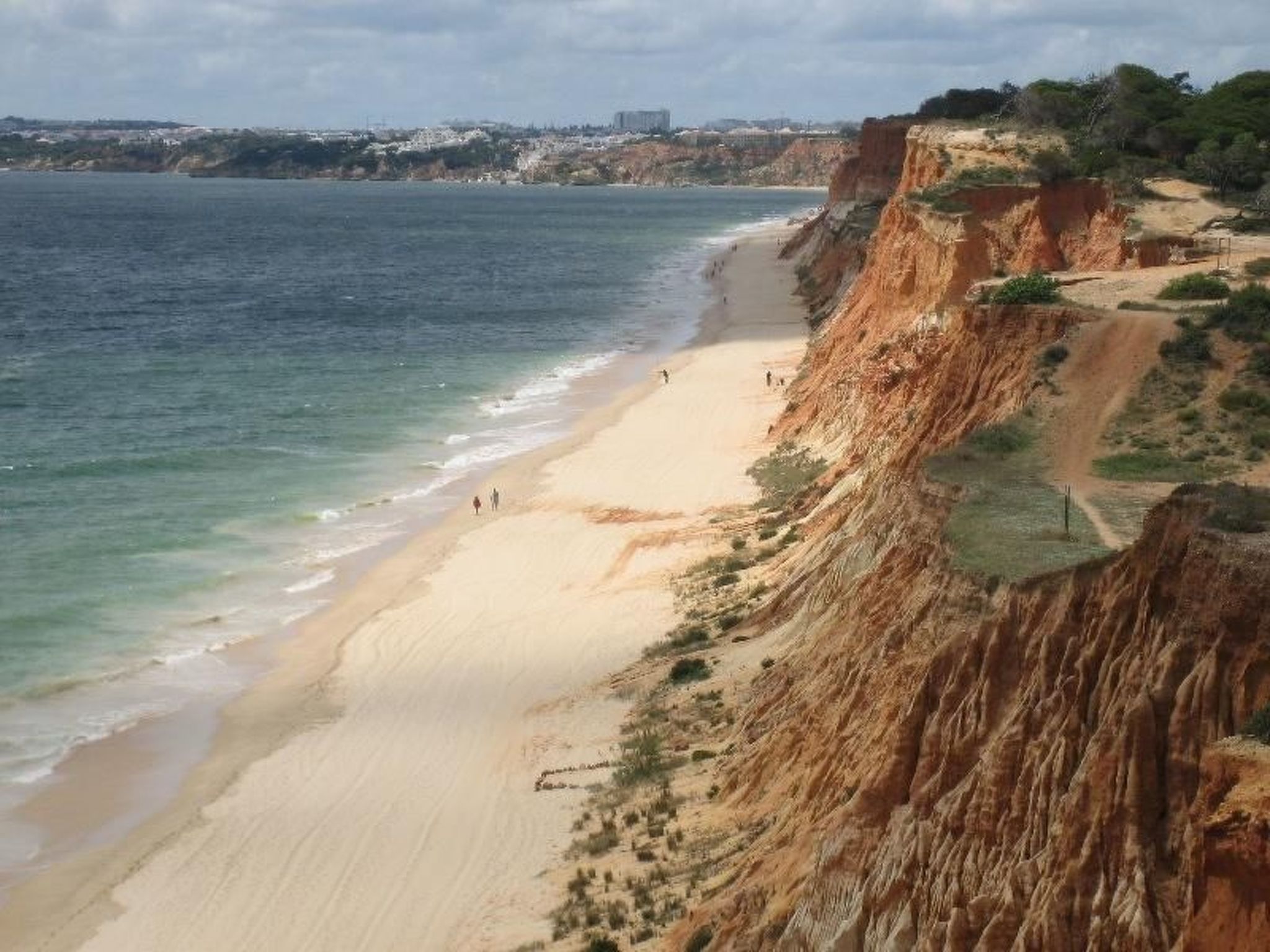 Pine Sun Park-Image-tags.info