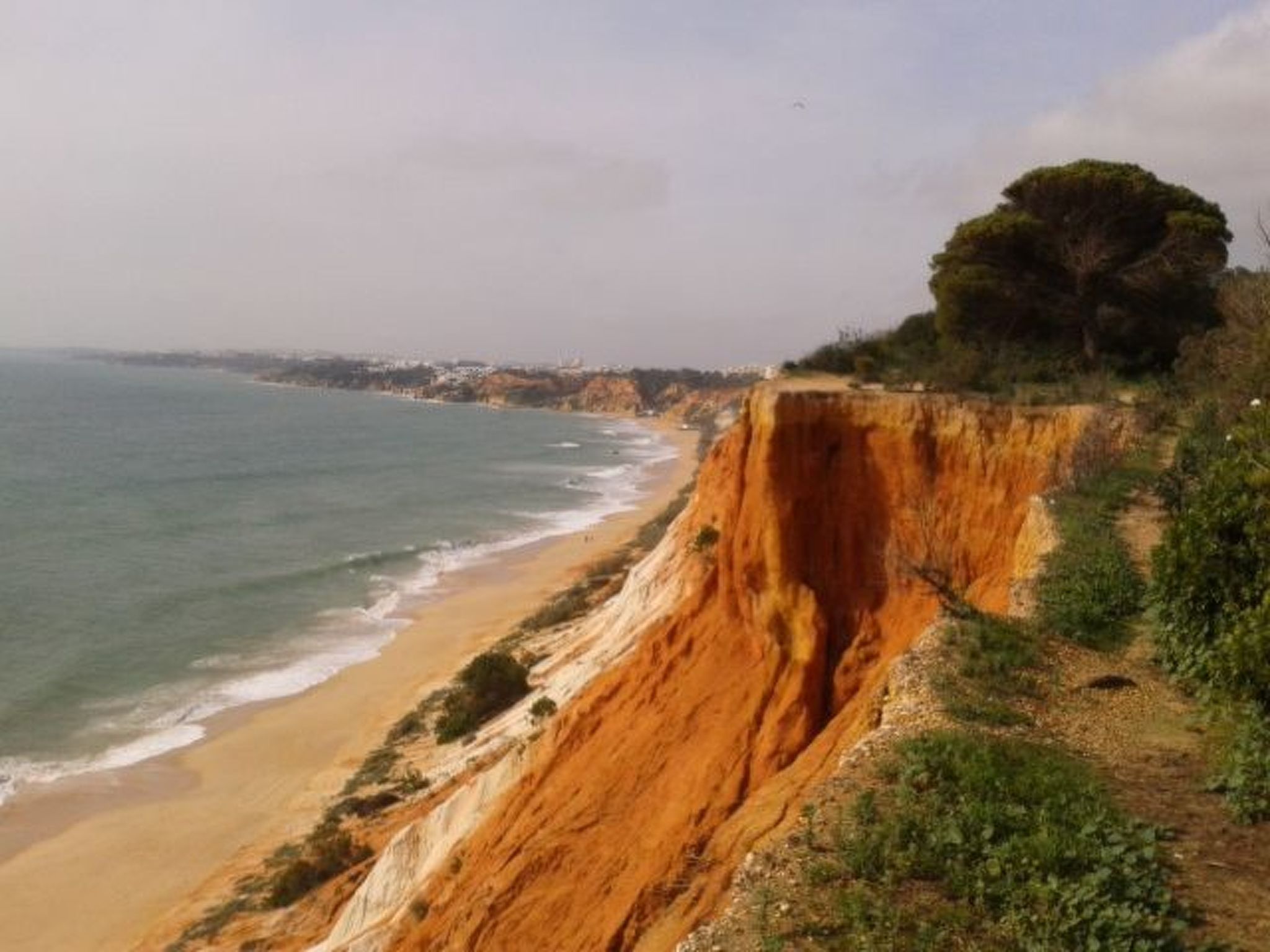 Pine Sun Park-Image-tags.info