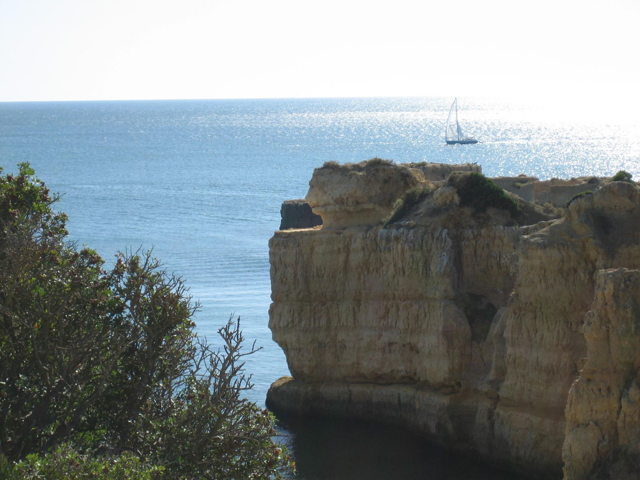 Pine Sun Park-Dehors