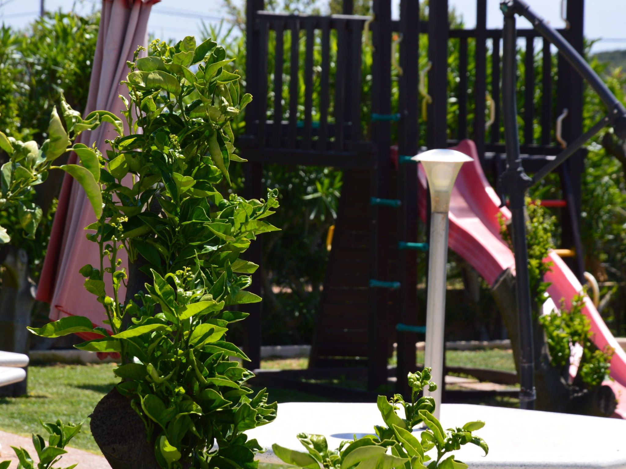 Photo of "Casa da Horta 8" mit Terrasse