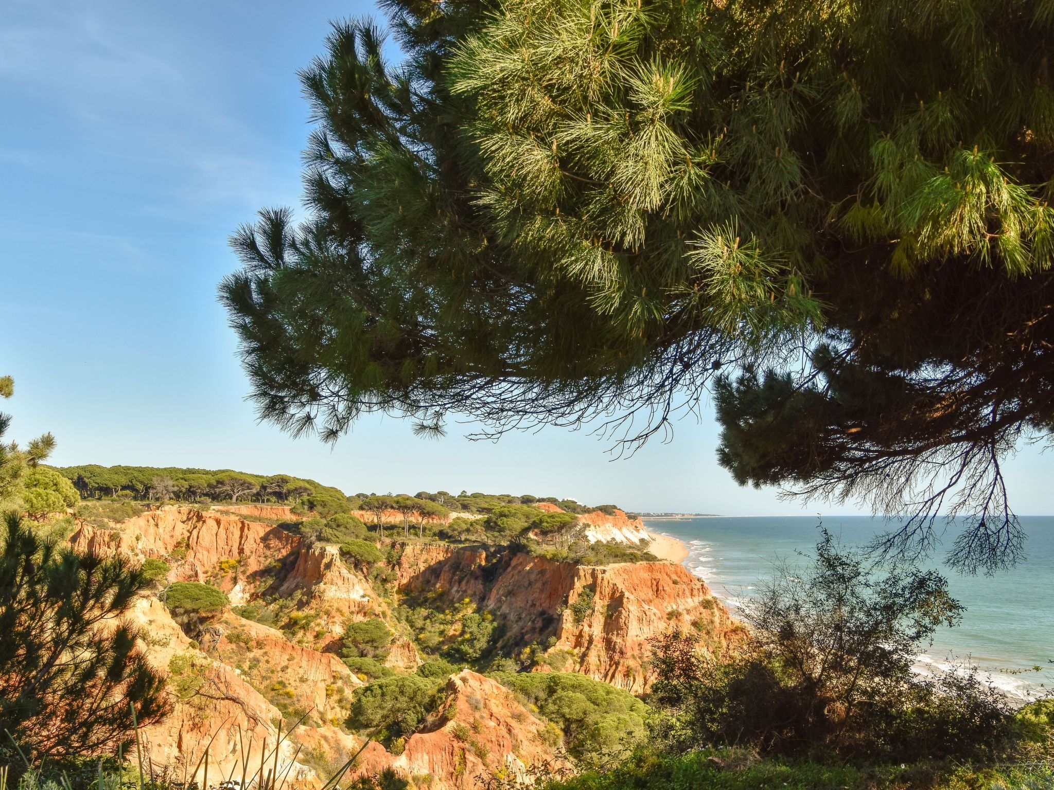 Photo of Wohnung "Falésia" mit Gemeinschaftspool