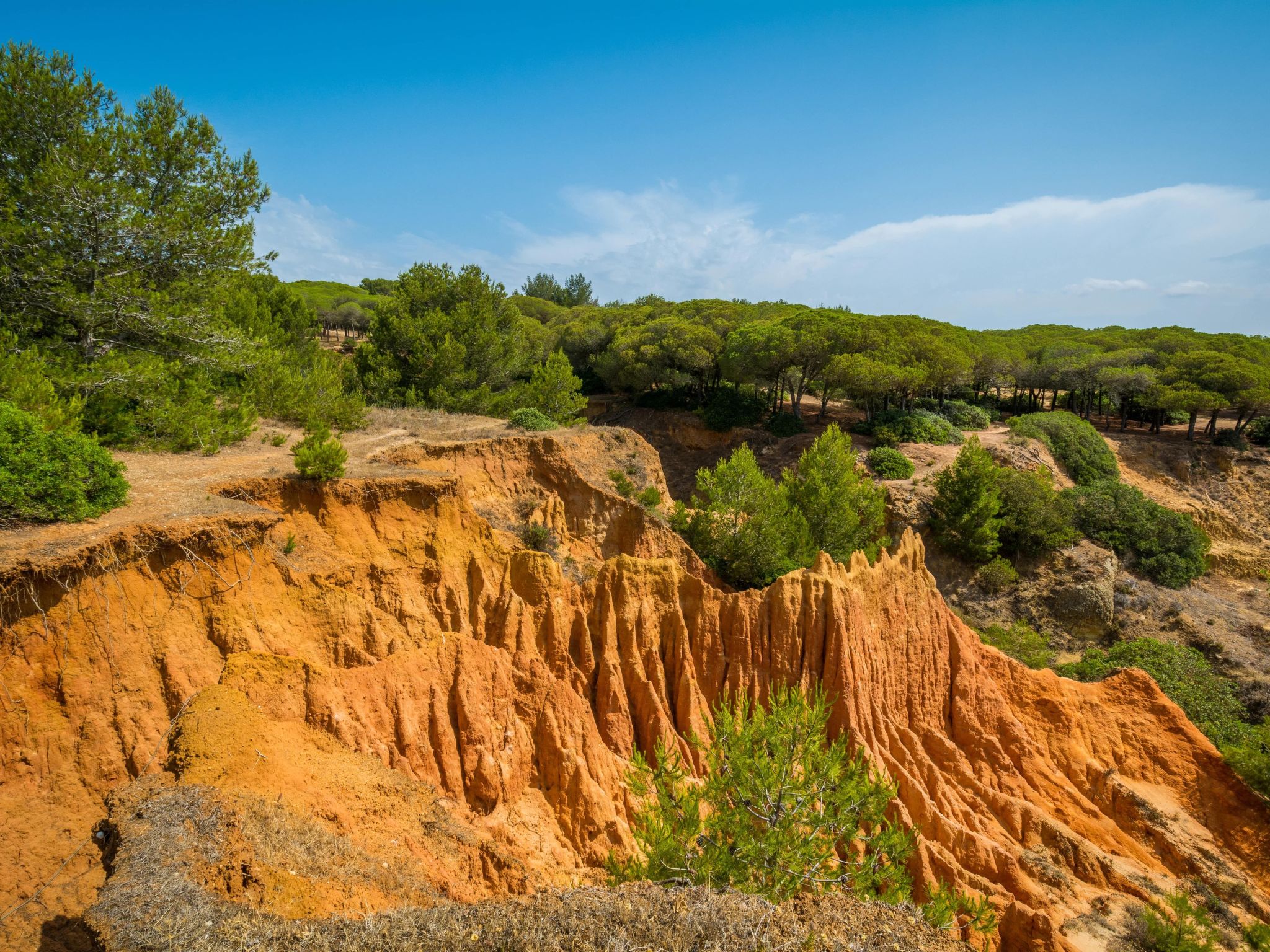 Photo of Wohnung "Falésia" mit Gemeinschaftspool