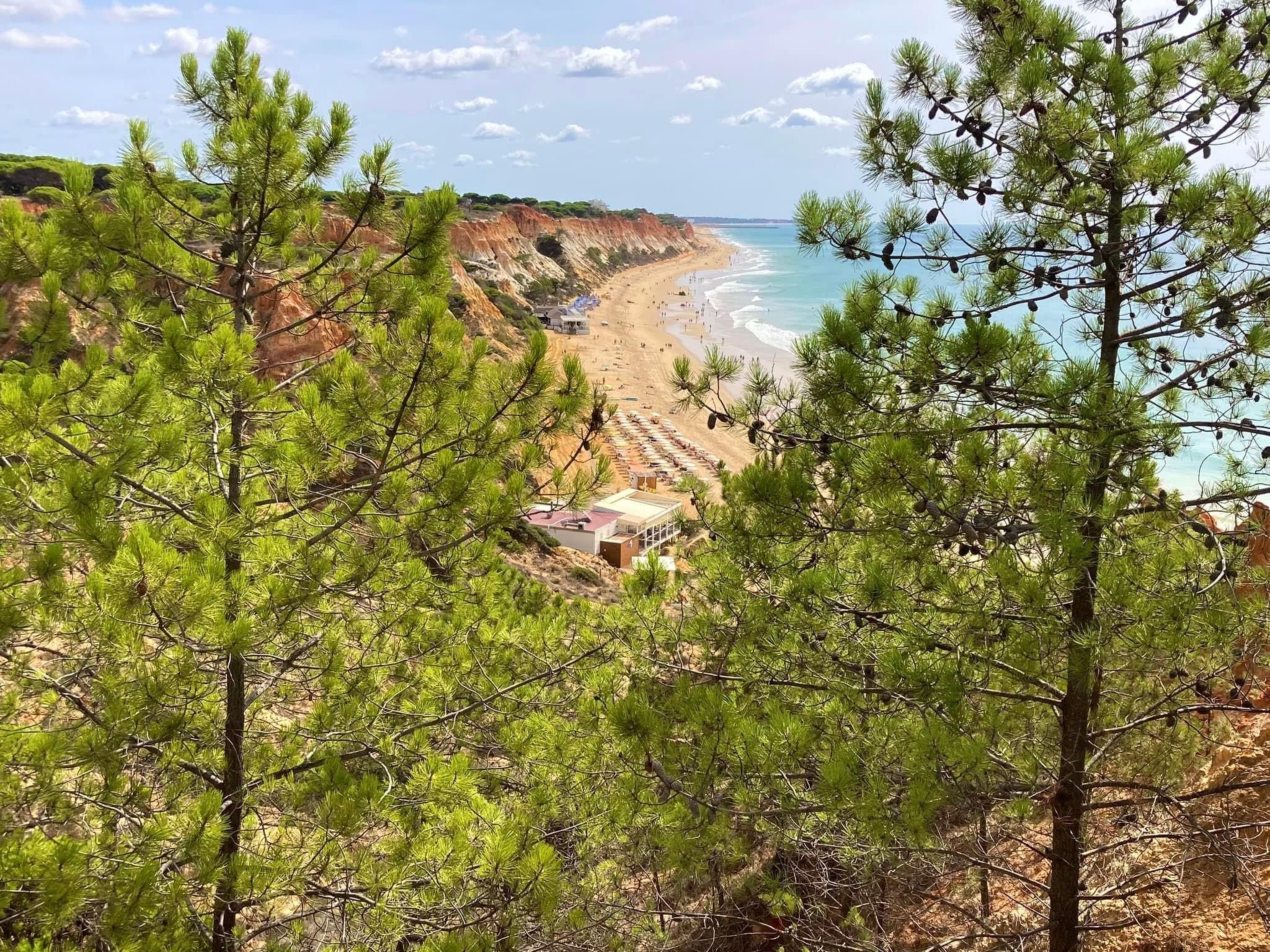 Photo of Casa da Horta CH3- Wohnung mit einem Schlafzimmer, Garten