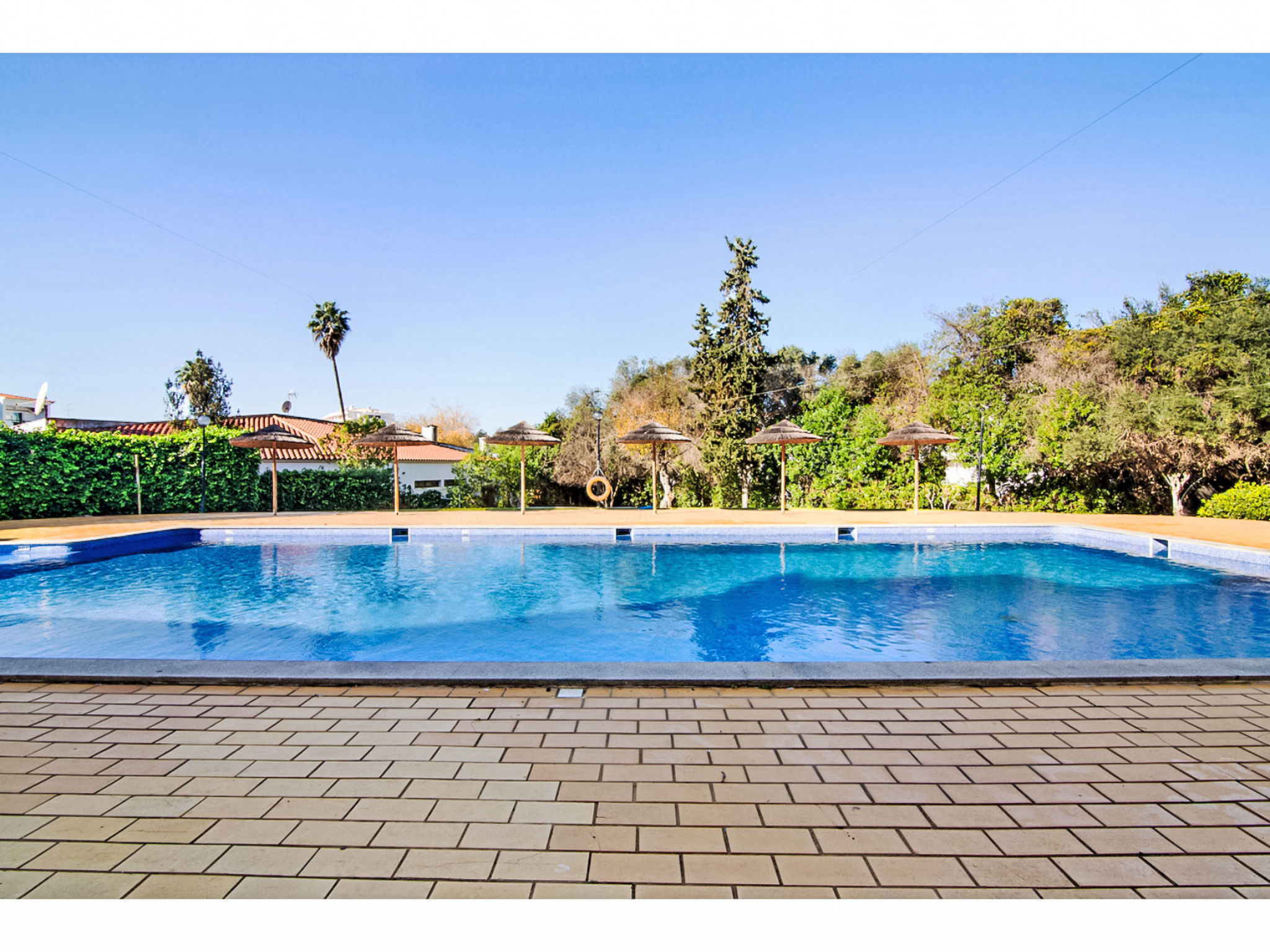 Photo of Anamar - Sunny Way