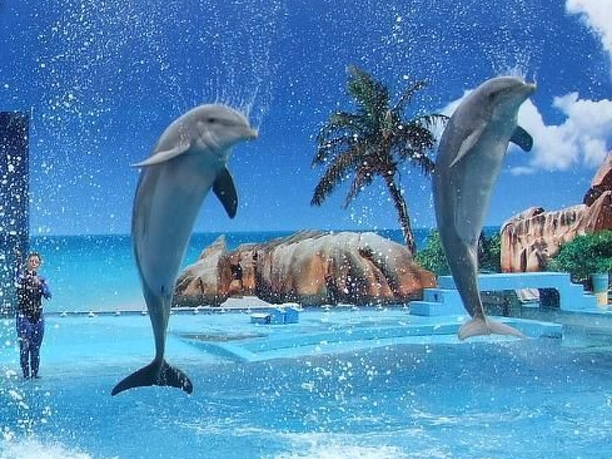 Wohnung mit Terrasse-Binnen