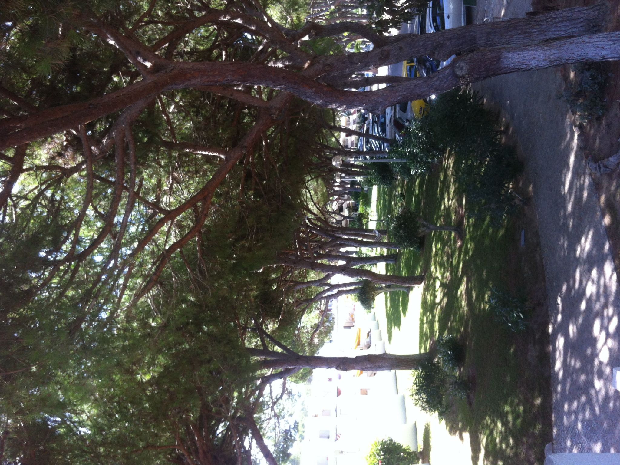 Wohnung mit Terrasse-Image-tags.info