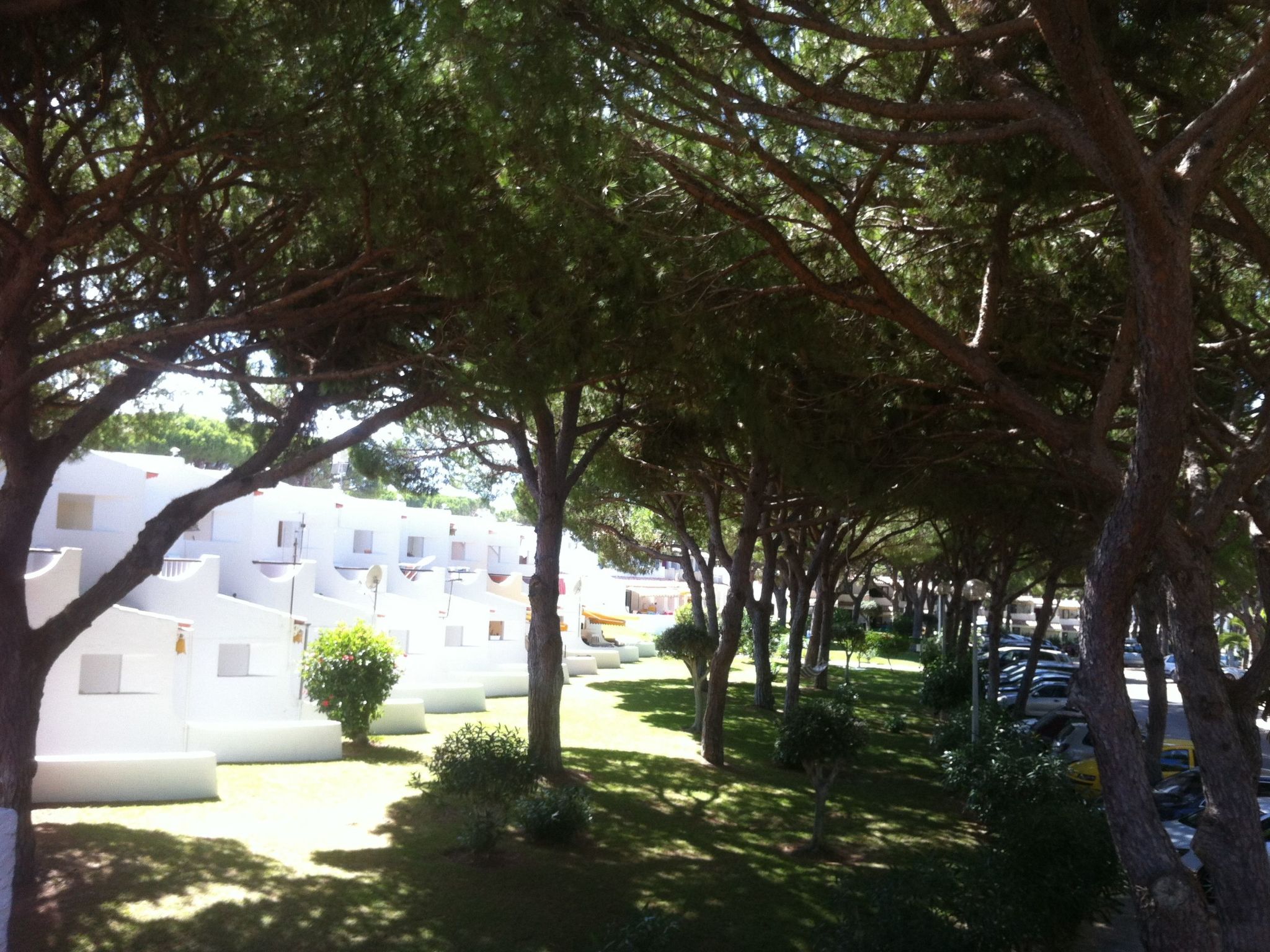 Wohnung mit Terrasse-Image-tags.info