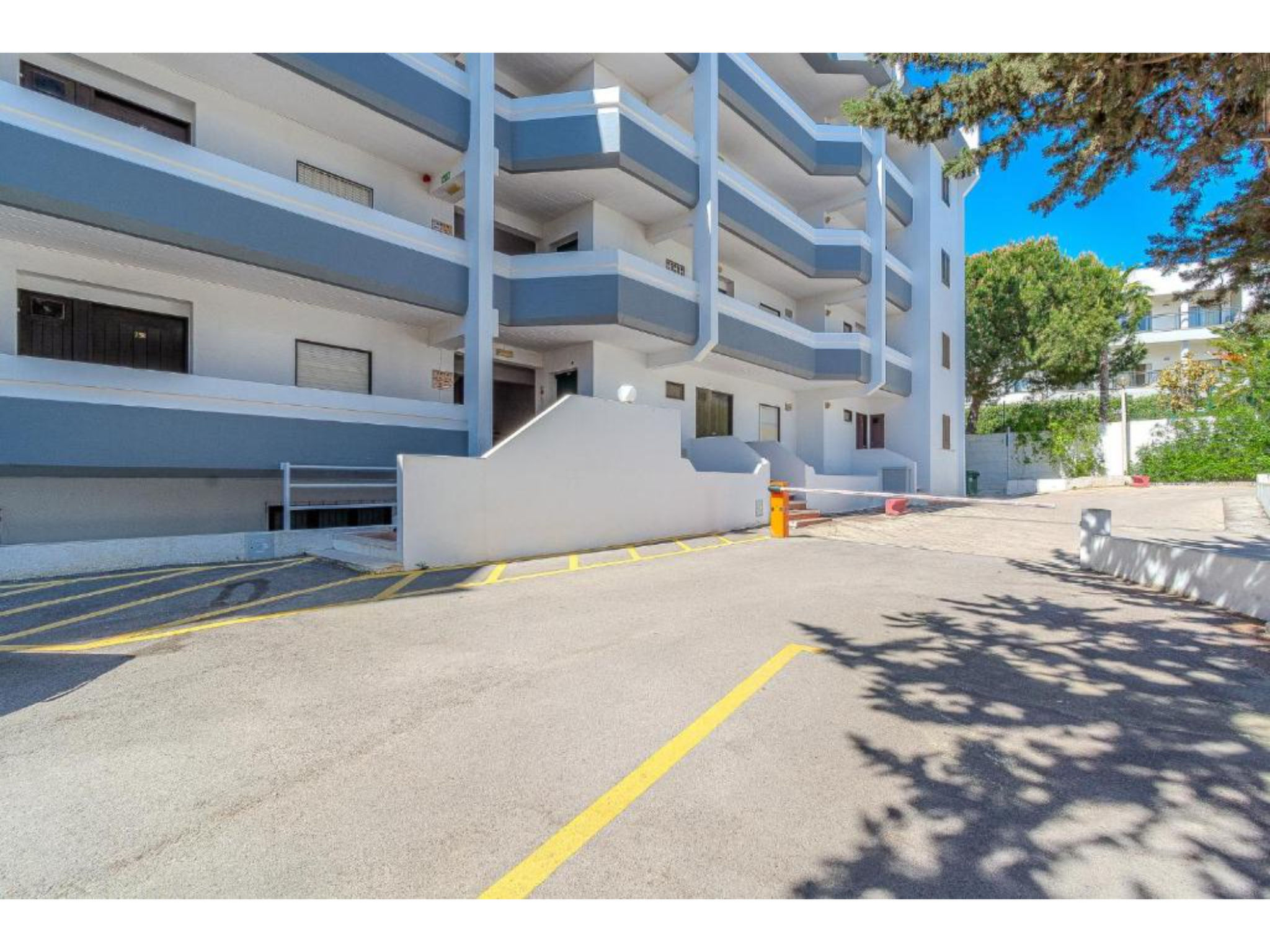 Ivone - Sunny Way-Draußen