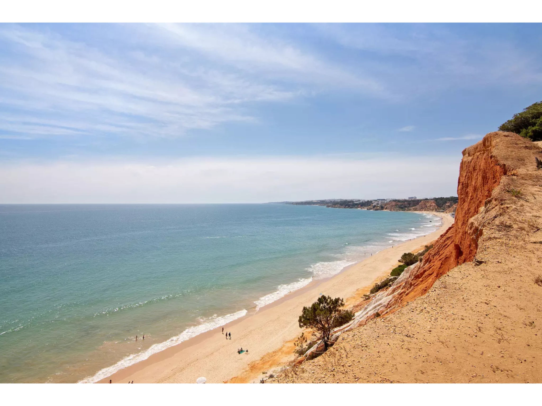 Photo of Jade-Sunny Way