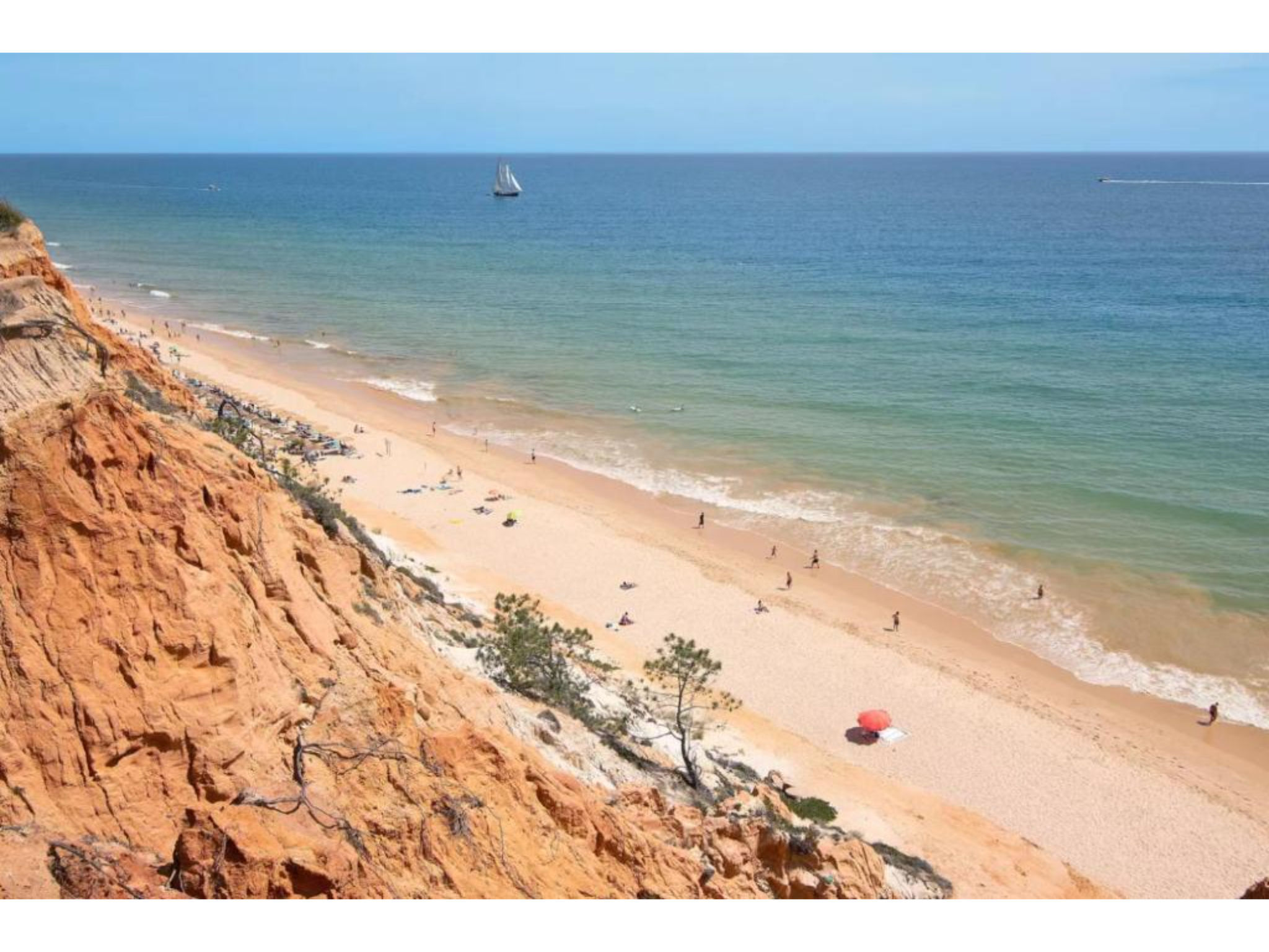 Photo of Jade-Sunny Way