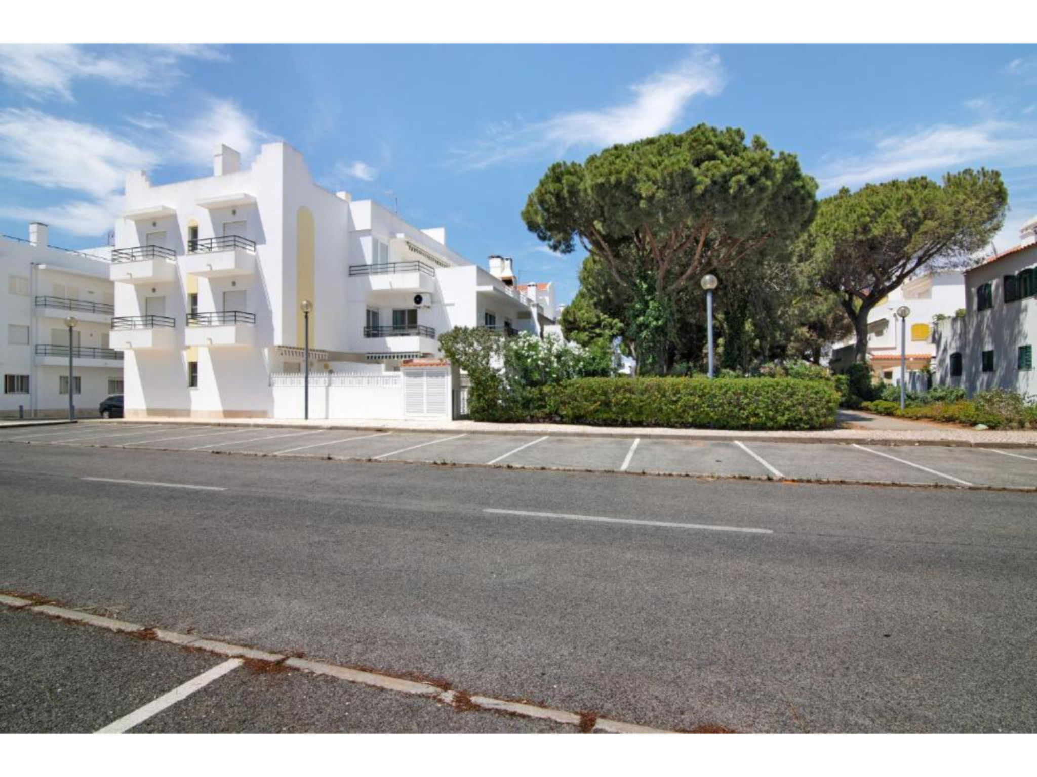 Photo of Jade-Sunny Way