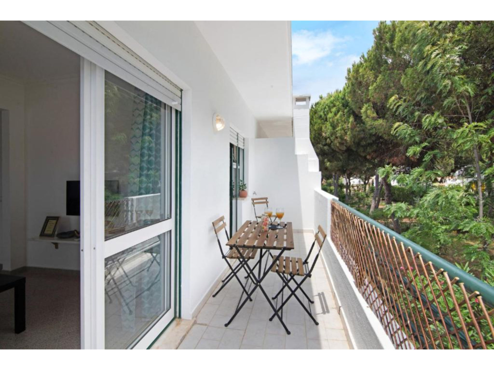 Photo of Jade-Sunny Way