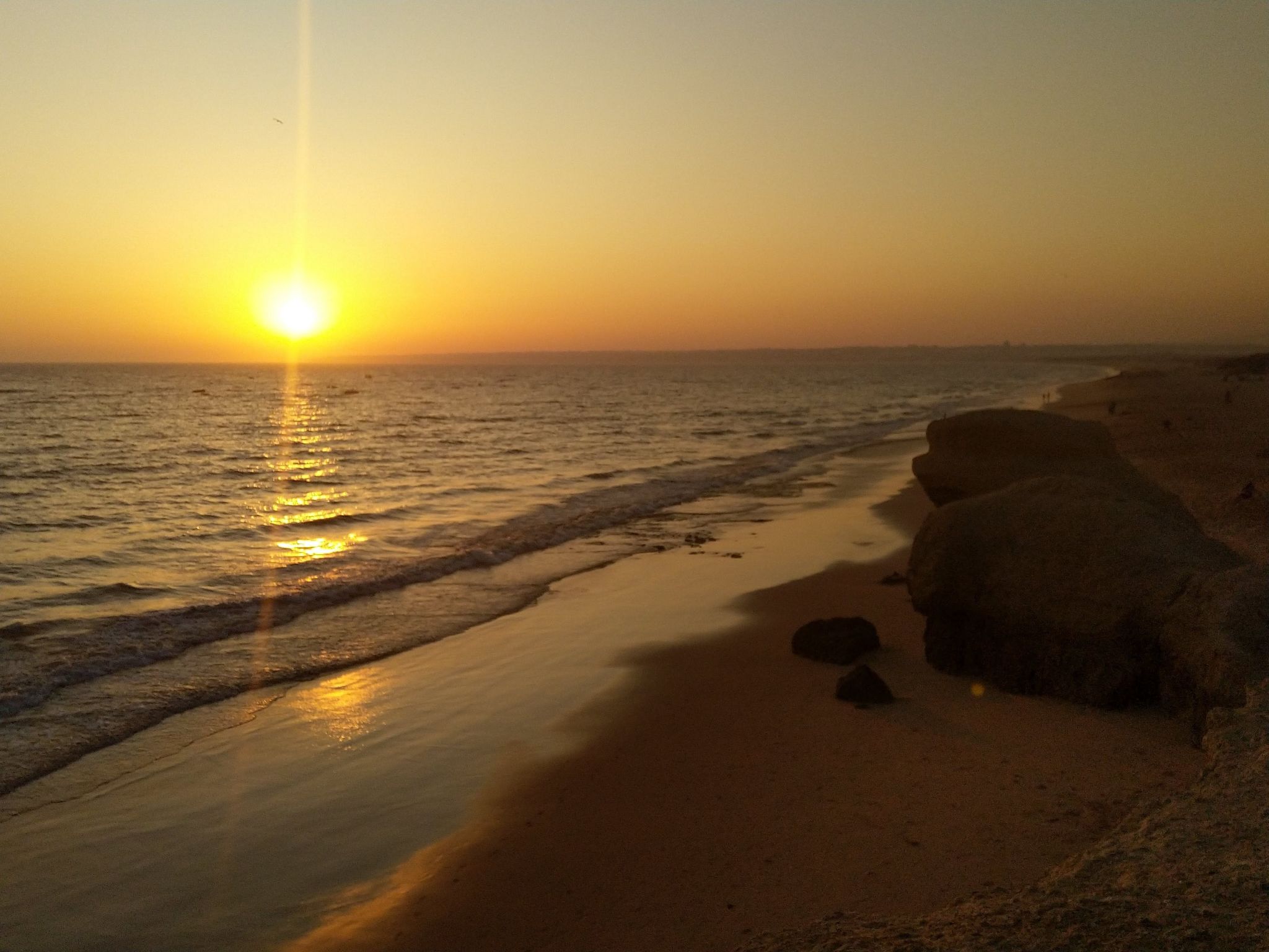 Photo of Garten Design brandneue Wohnung mit Pool