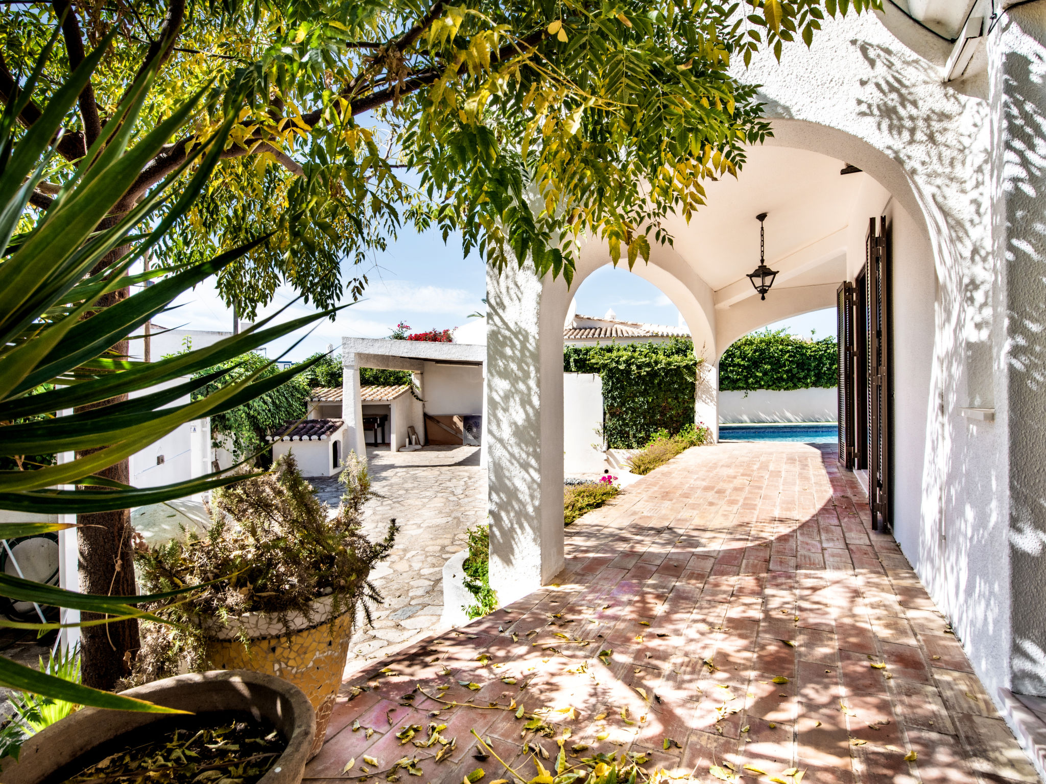 Photo of Libertos V4